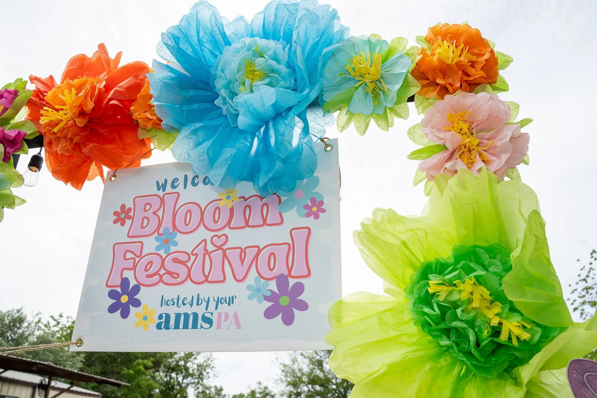 LolaRosaPhotography-AMSSpringBloomFest_20260419-197.jpg