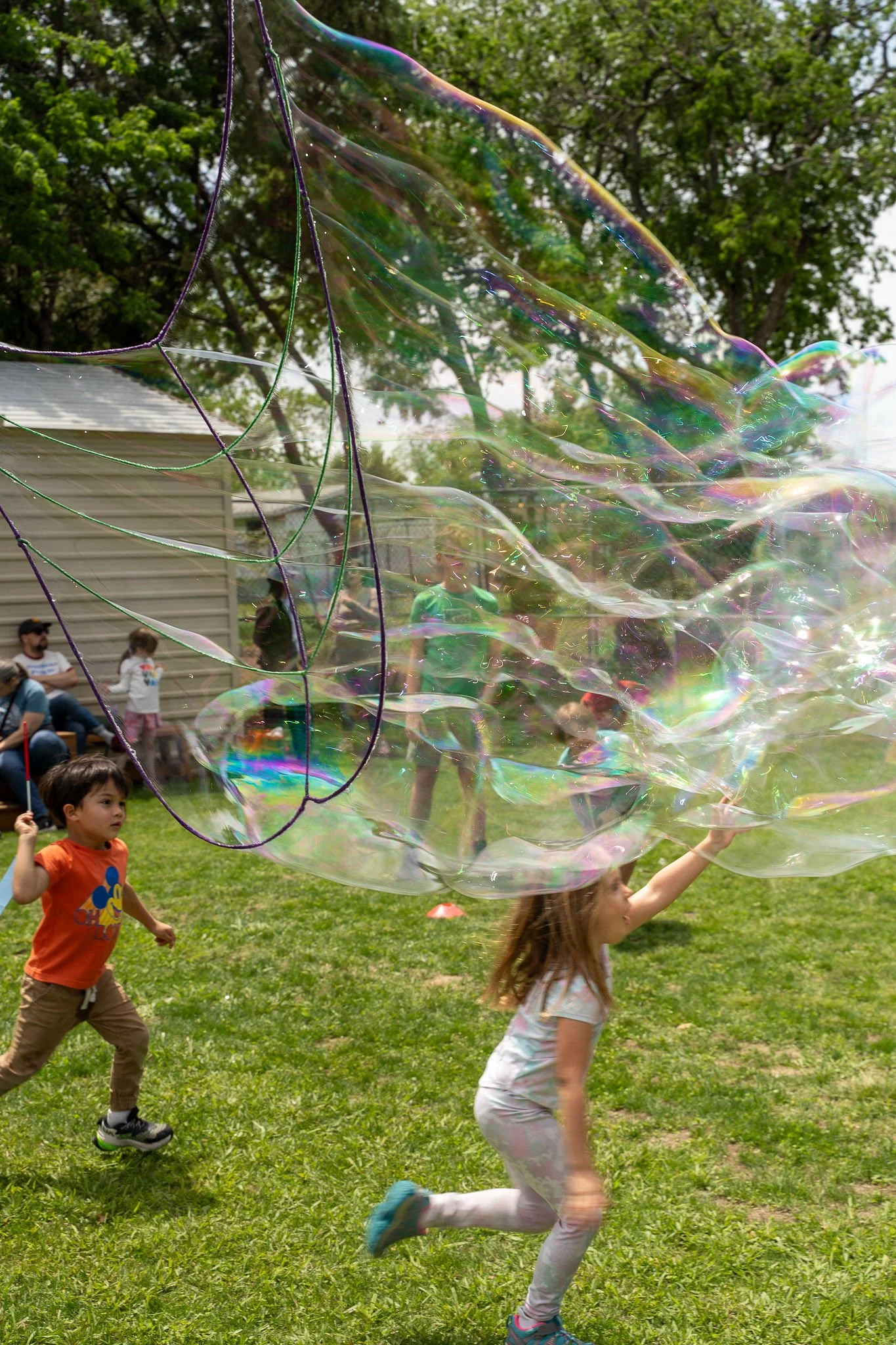 LolaRosaPhotography-AMSSpringBloomFest_20260419-96.jpg