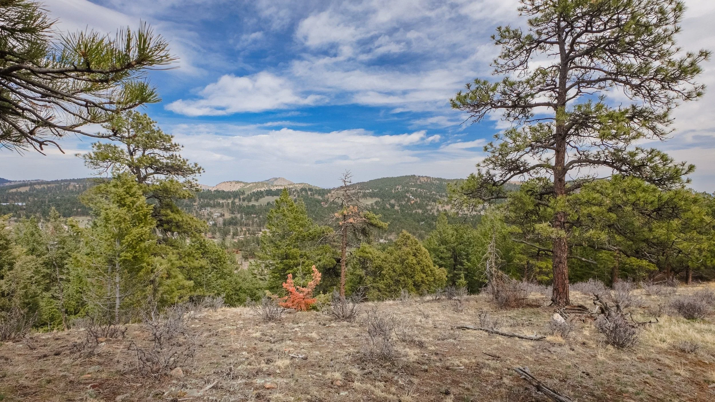 66-print-_MG_0044-HDR.jpg