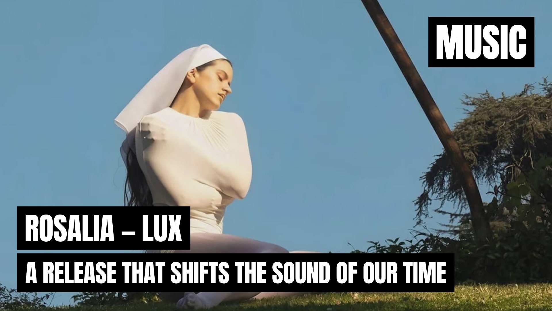 TMN BLOG Thumbs-5.jpeg