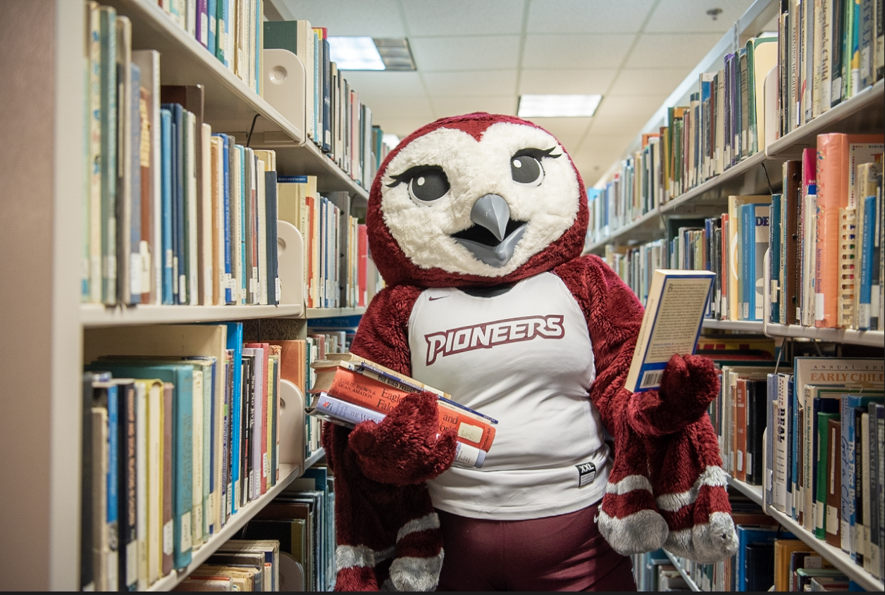 Screenshot 2024-09-10 at 2.11.20 PM.png