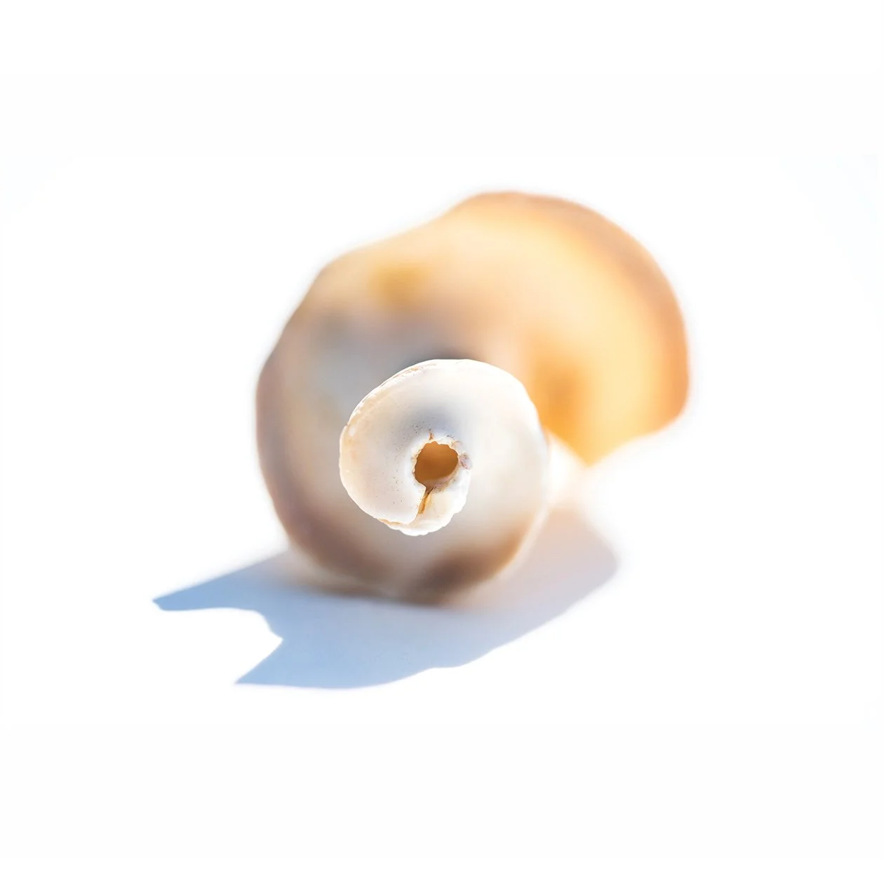 Broken Spiral