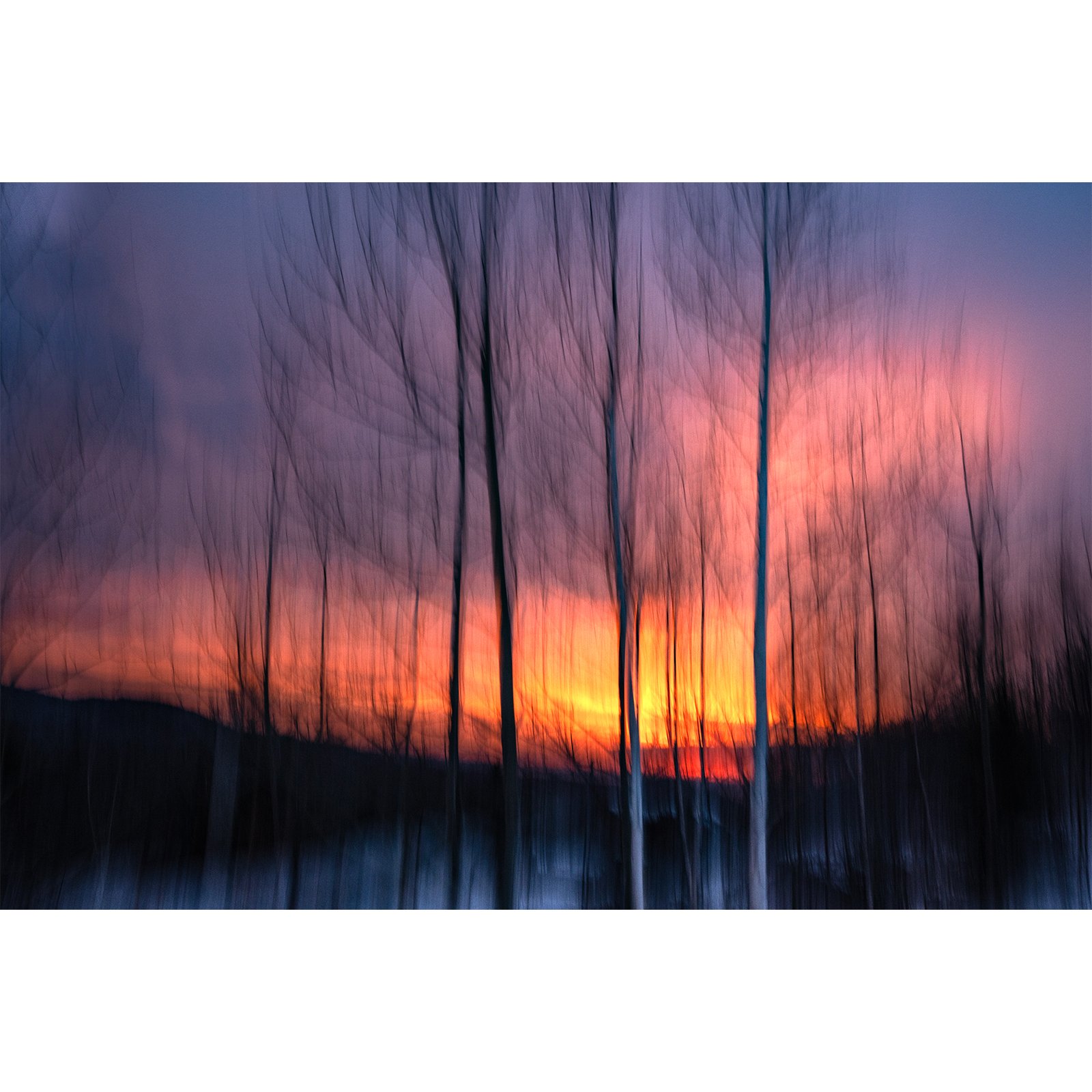 rLWP_Sunrise_Through_The_Birches.jpg