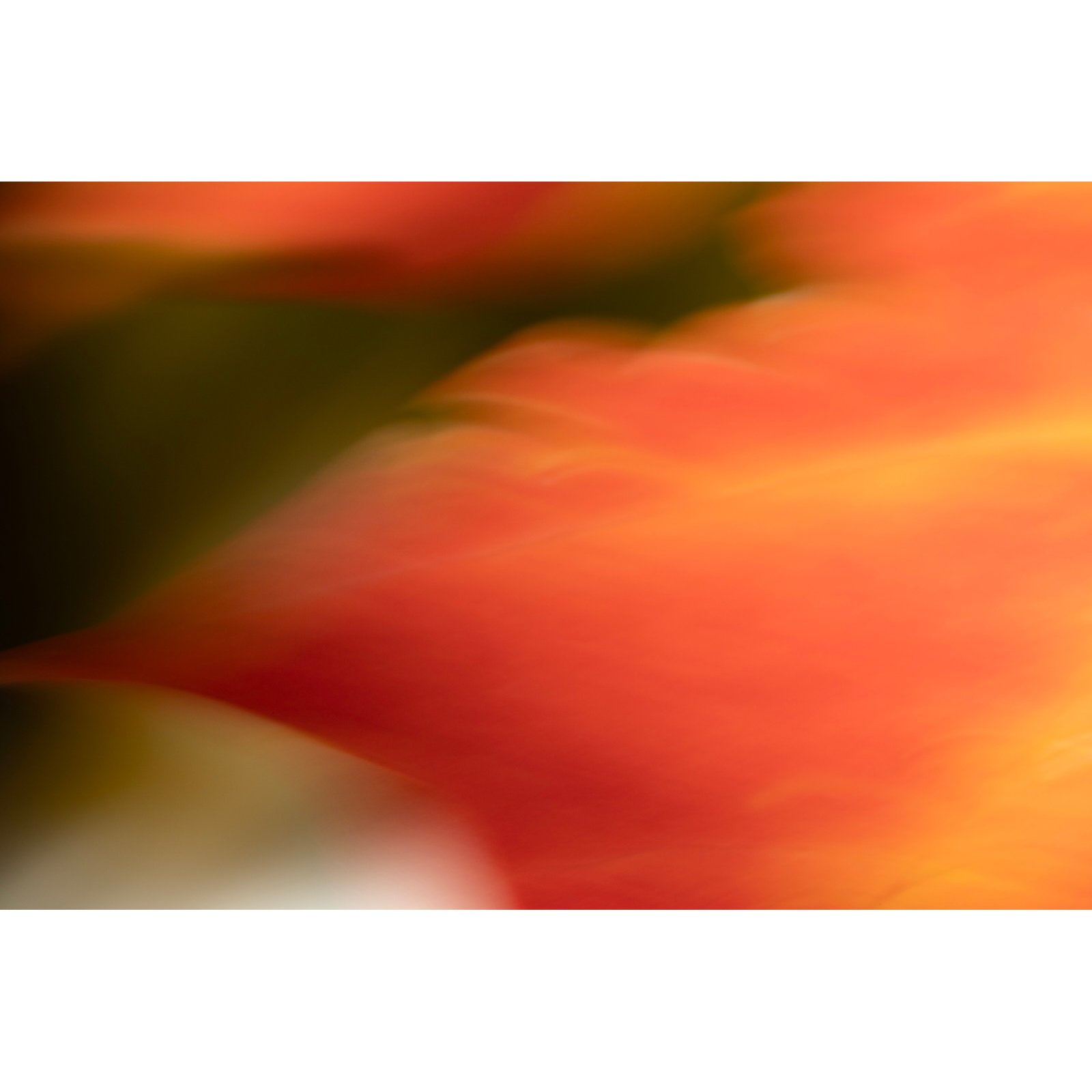 rLWP_Maple_Sugar.jpg