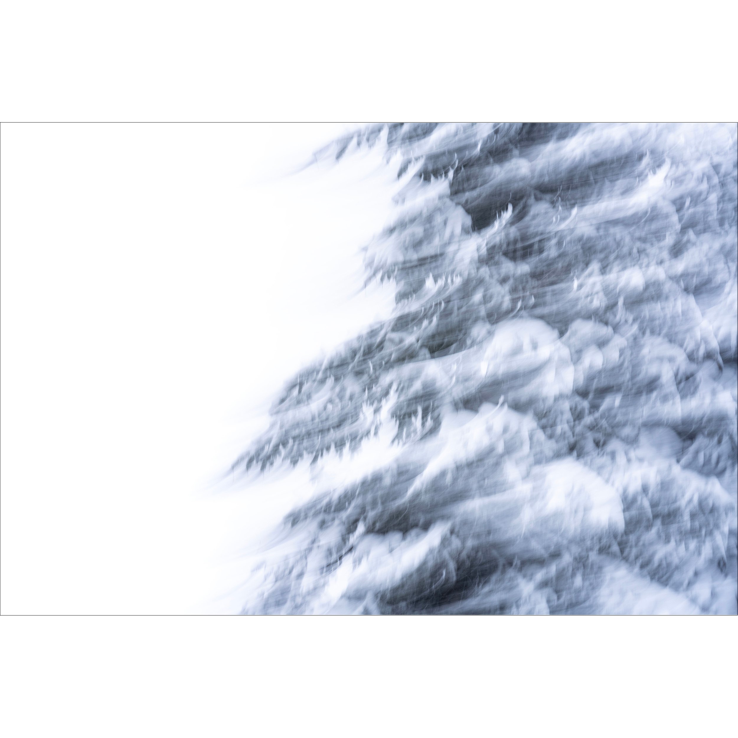 LWP_TreeDance_I.jpg