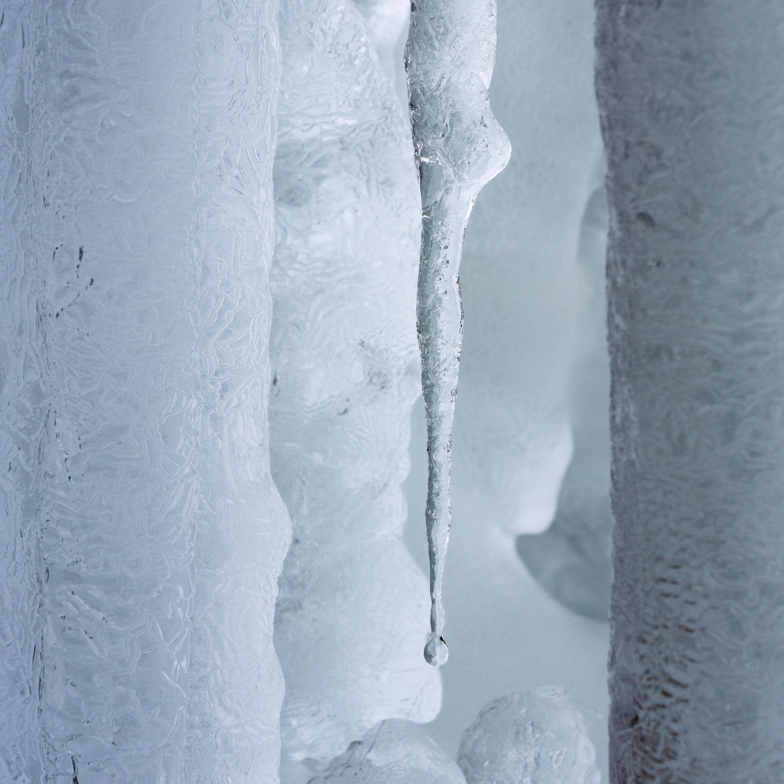 rDSC03467_Dripsicle.jpg