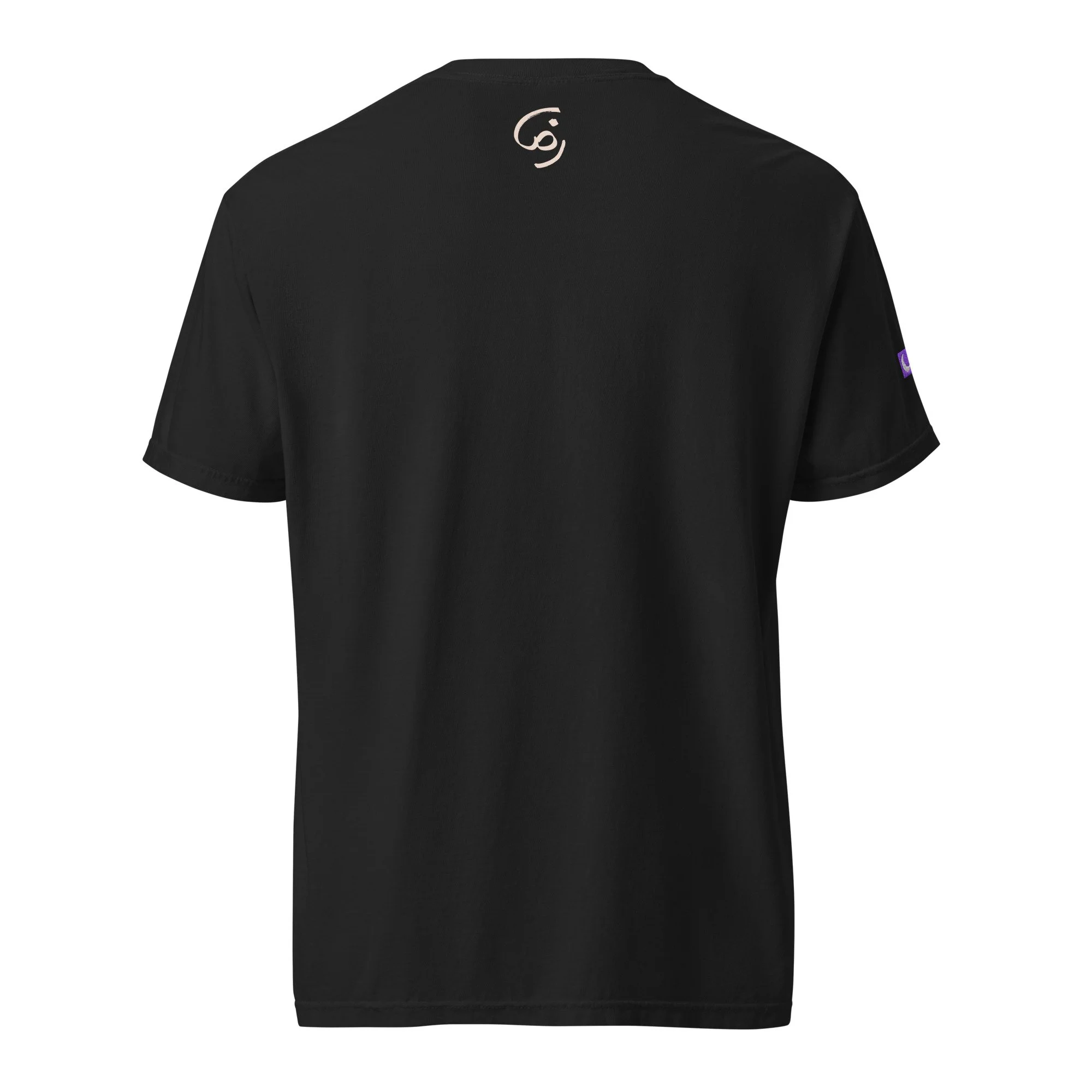 unisex-garment-dyed-heavyweight-t-shirt-black-back-6aa9909076991.jpg