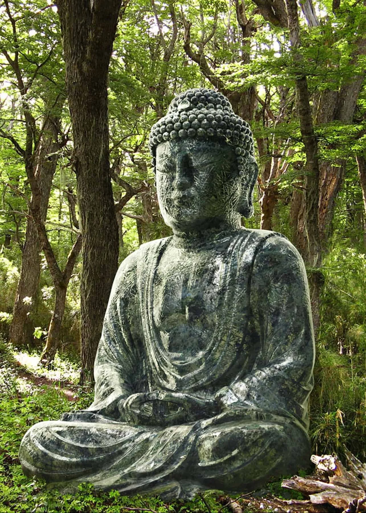 WayArt_RobertC_Buddha.jpg