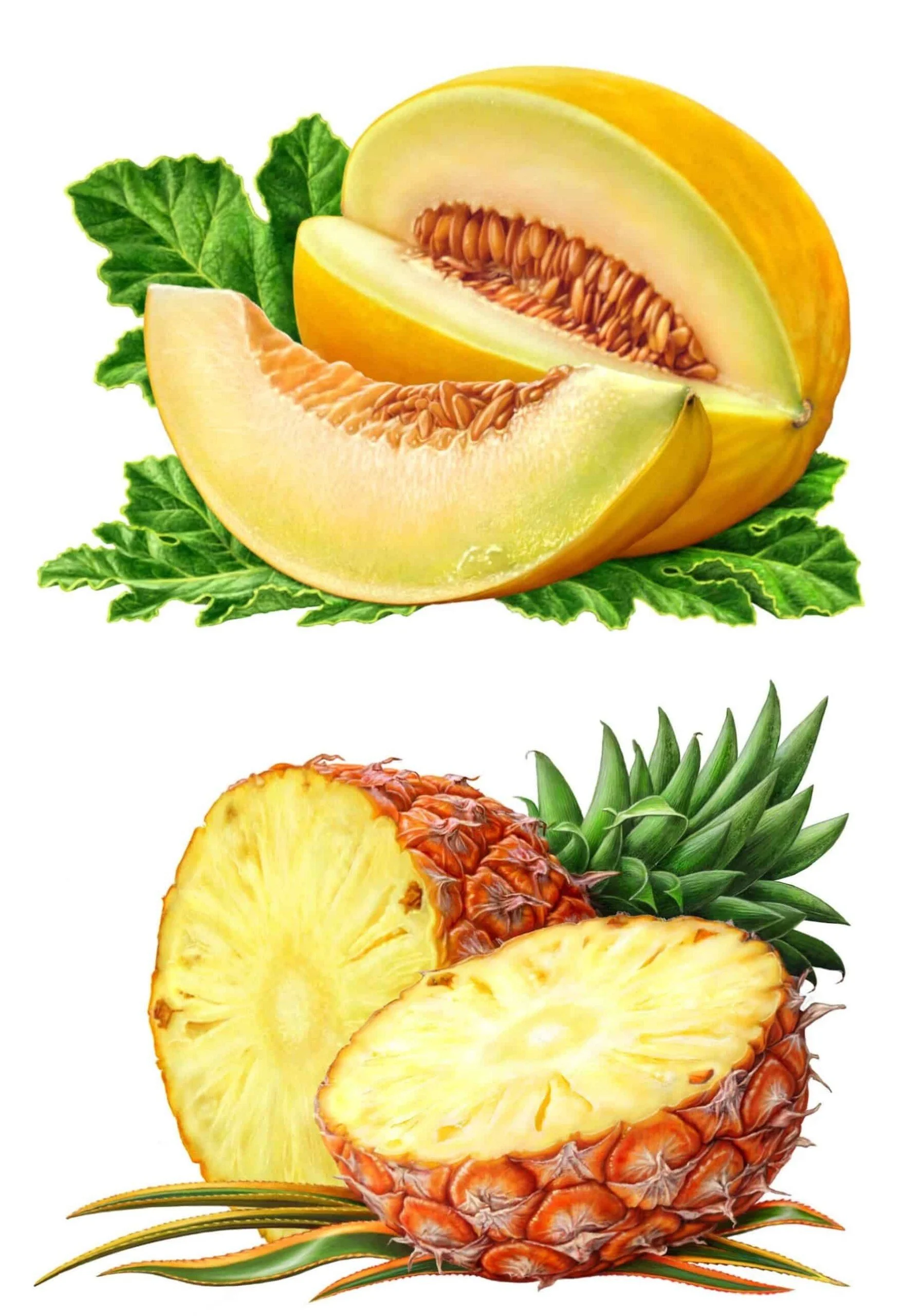 WayArt_BerndW_PineappleMelon-scaled.jpg