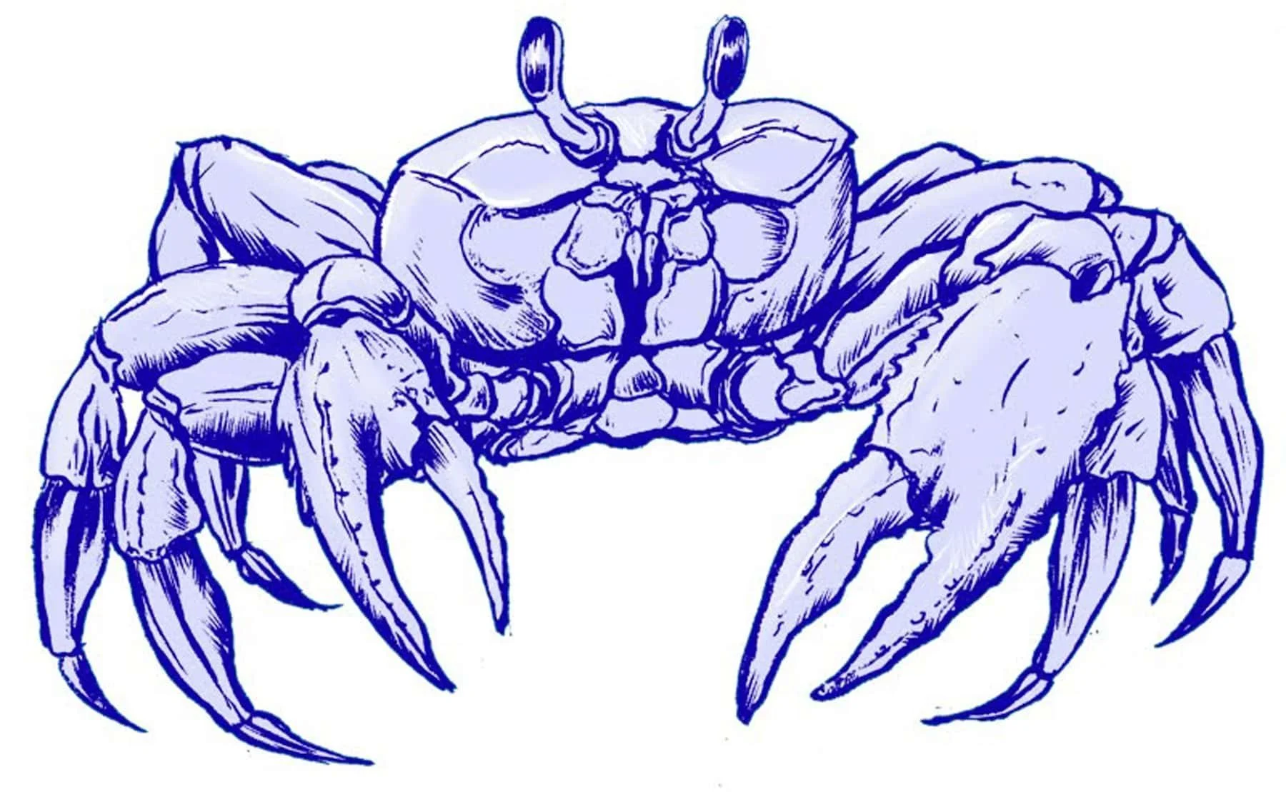 WayArt_ChrisB_Crab.jpg
