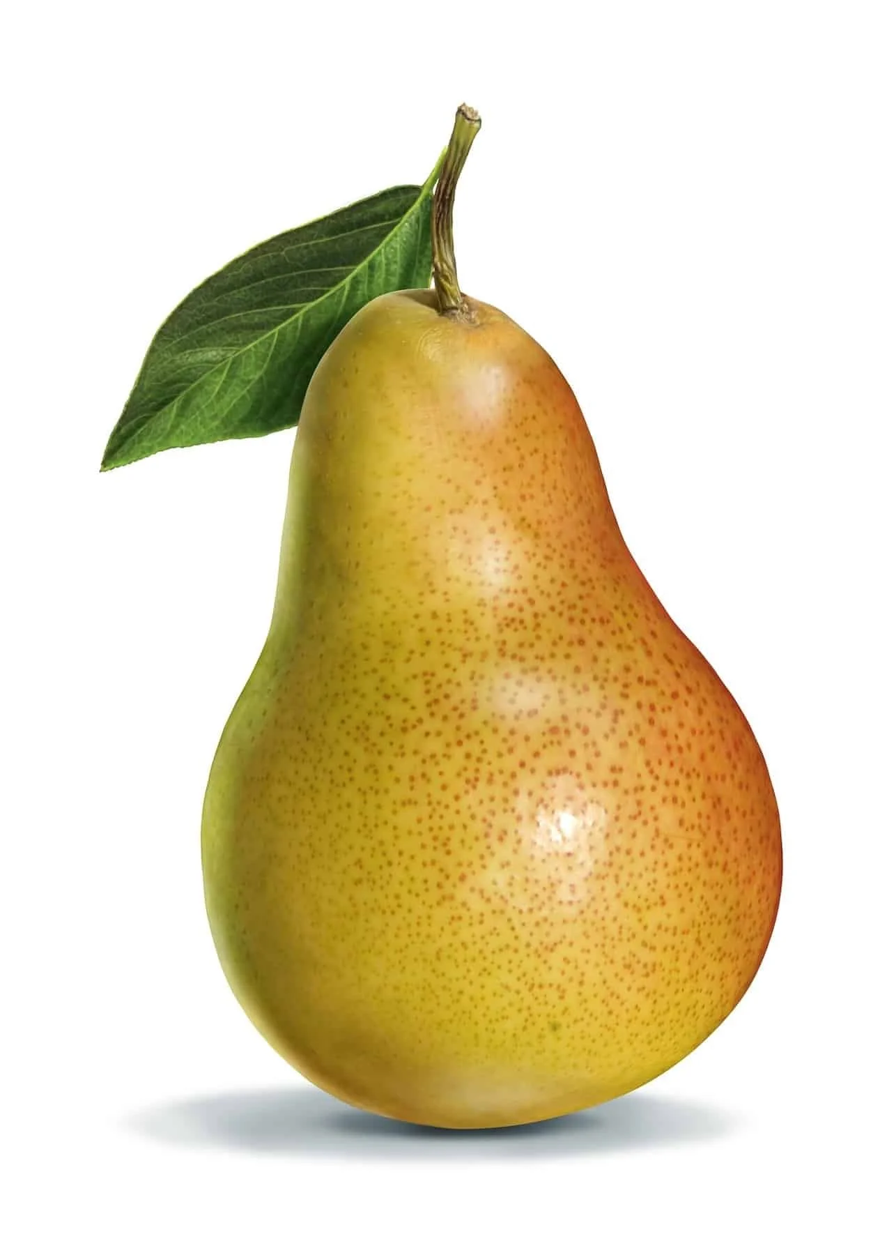 WayArt_BerndW_Pear.jpg