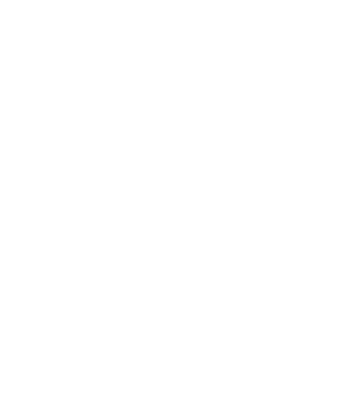 Rise