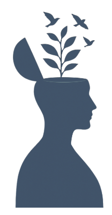 Mindful Origins Mindfulness Experience