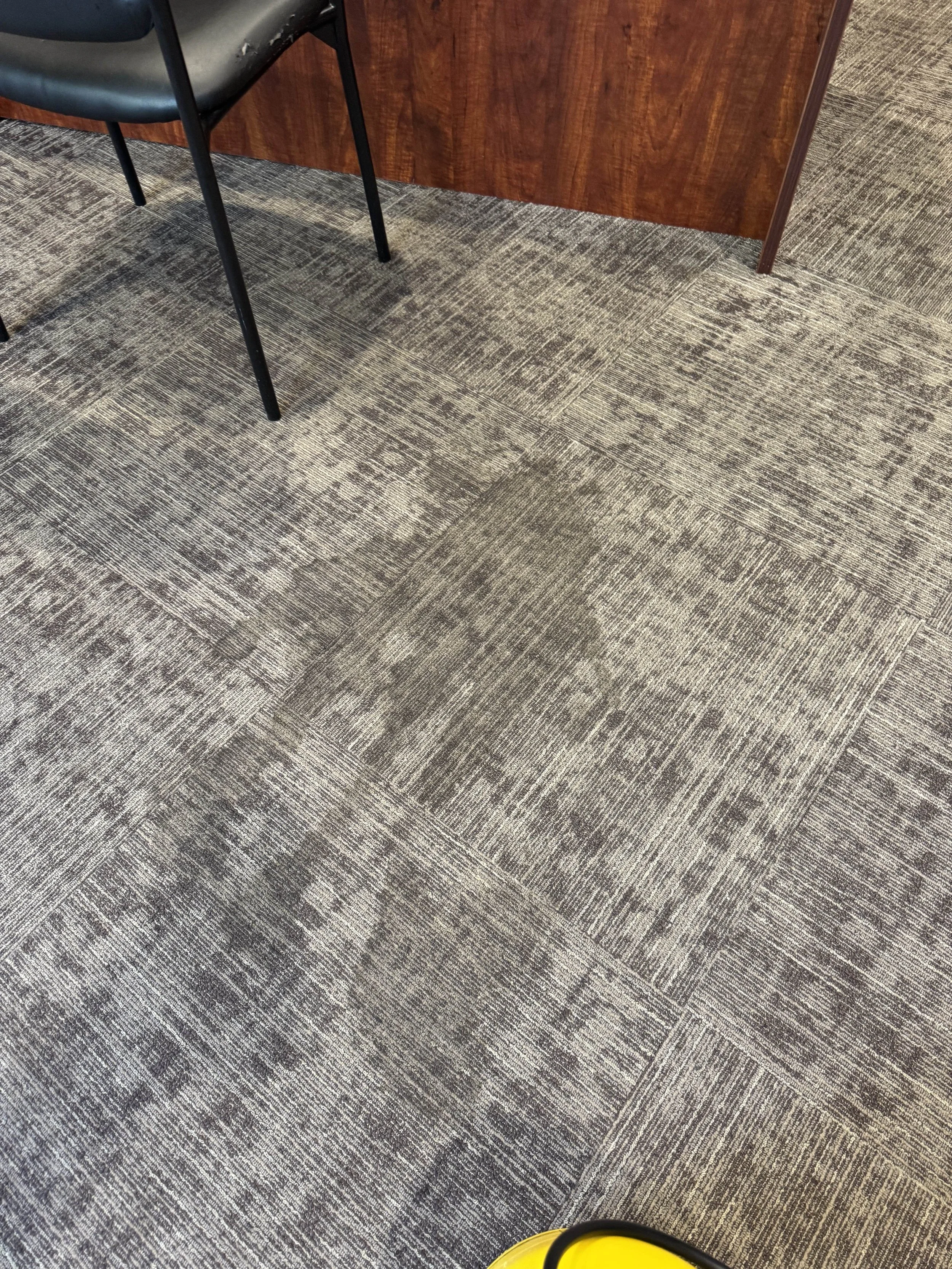 carpet before.jpg