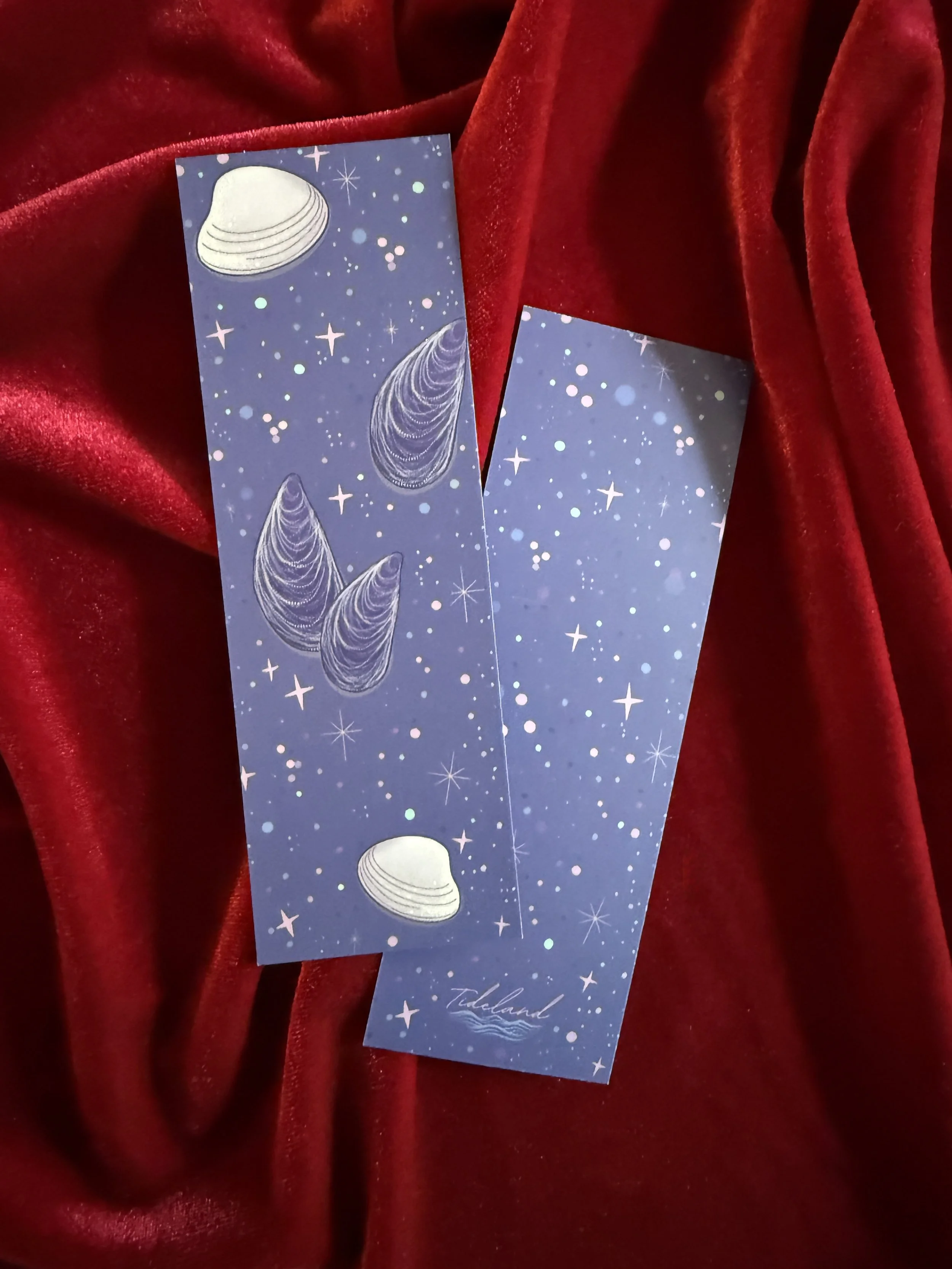 Notes From the Shore Bookmark – Cape Keepsake Collection