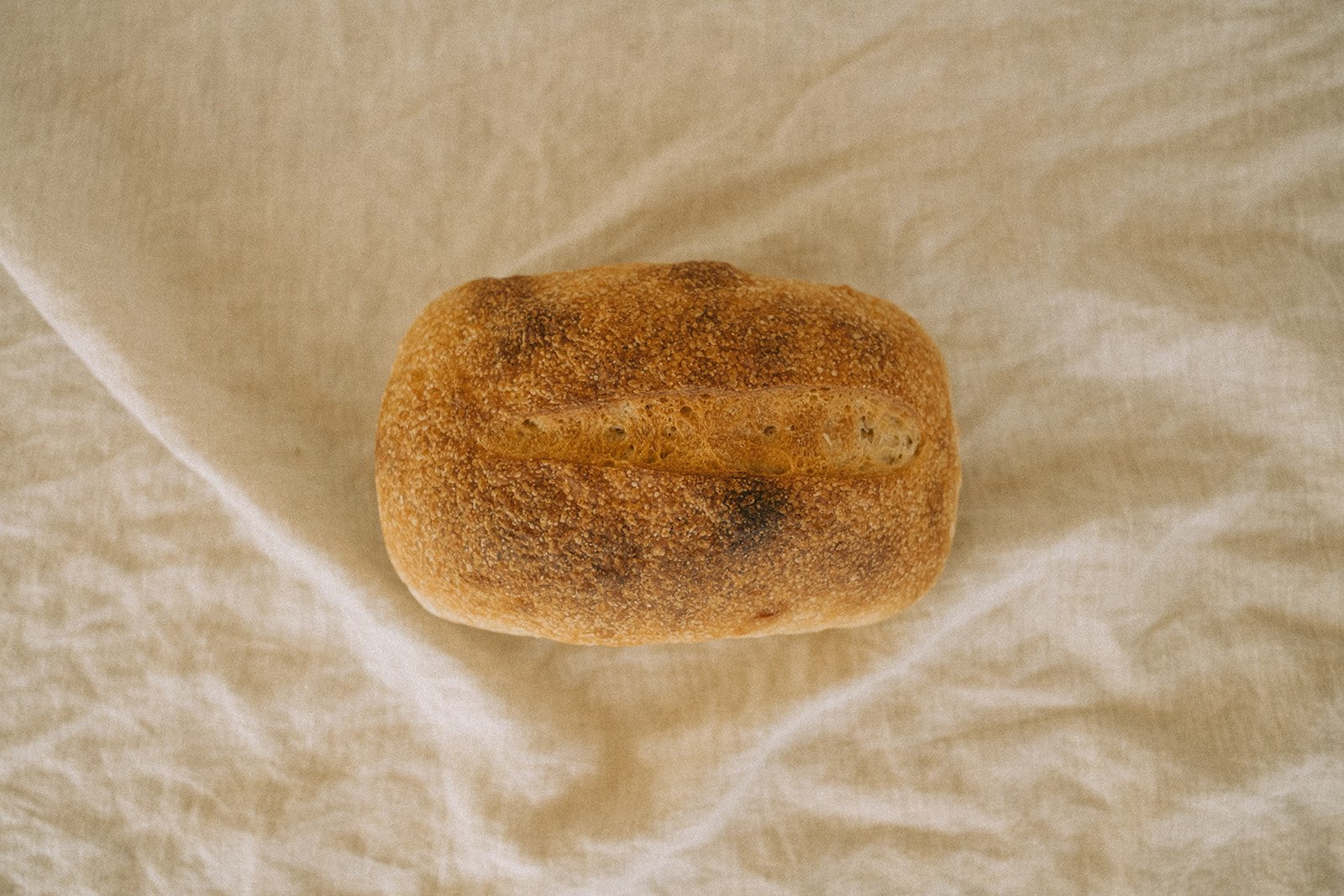 DSCF9781.jpg