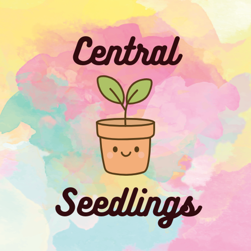 Central Seedlings