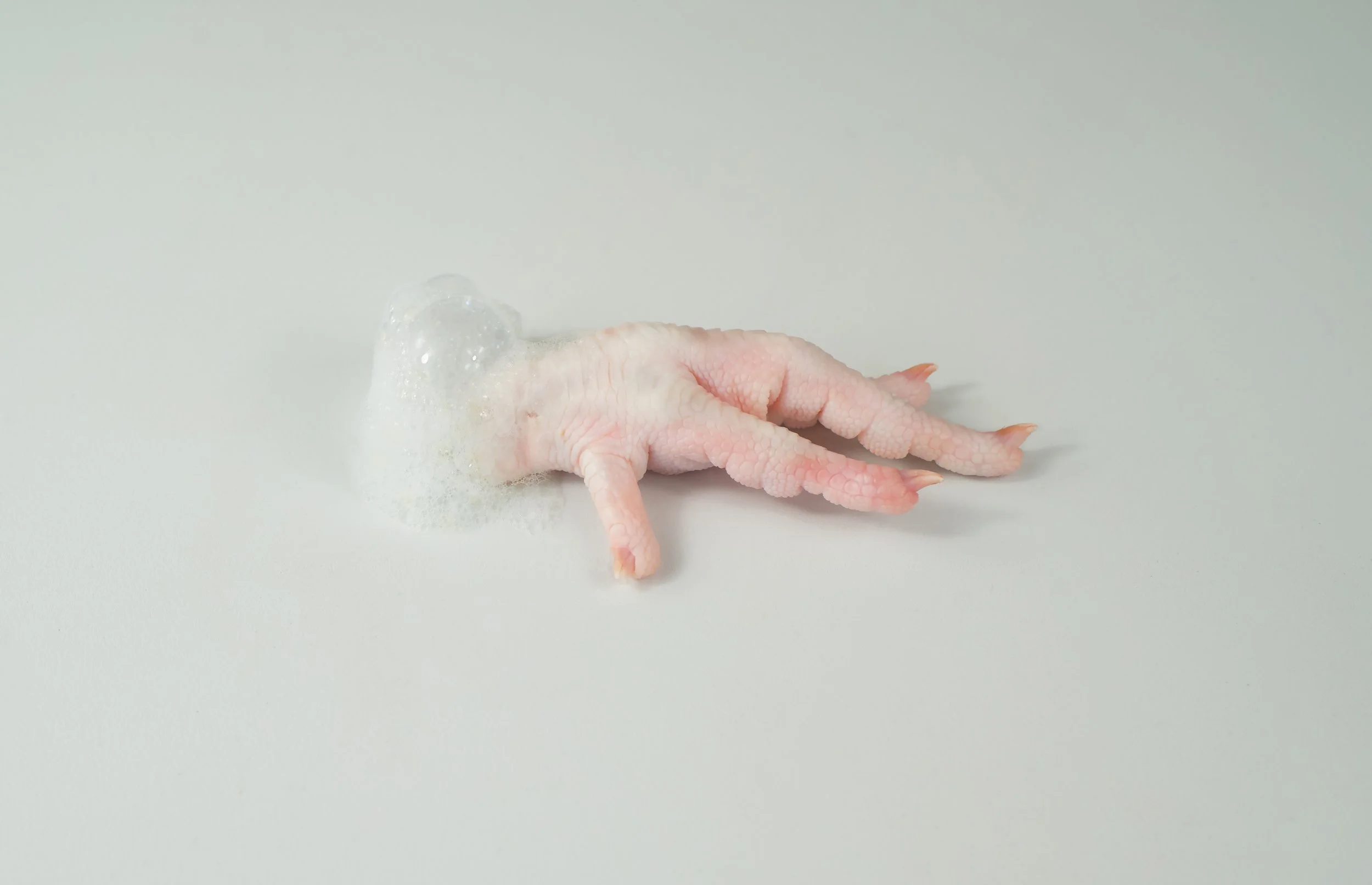 Left Hand 2025, foam, hand