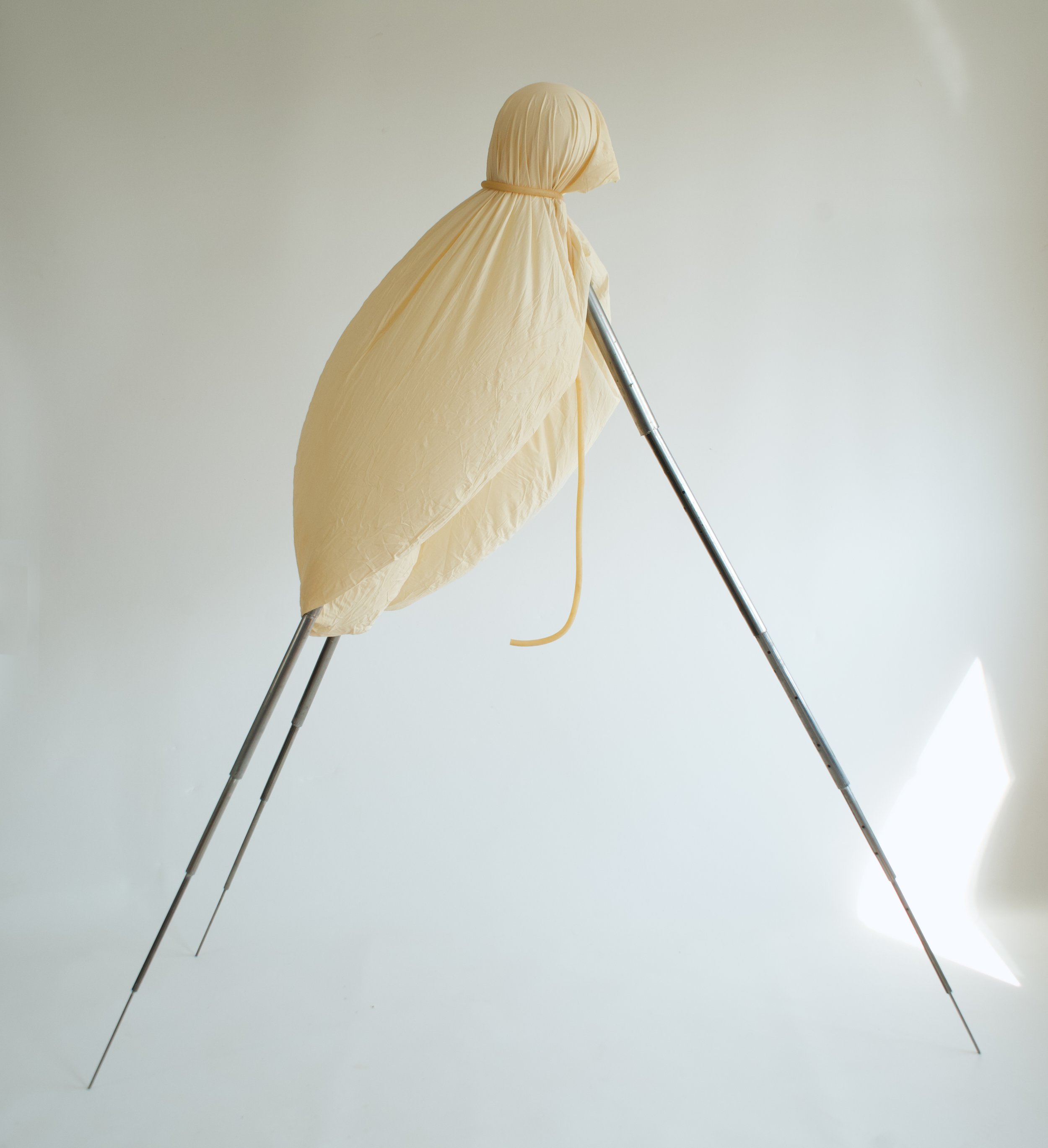 Horse 2025, Steel, latex, surgical tube