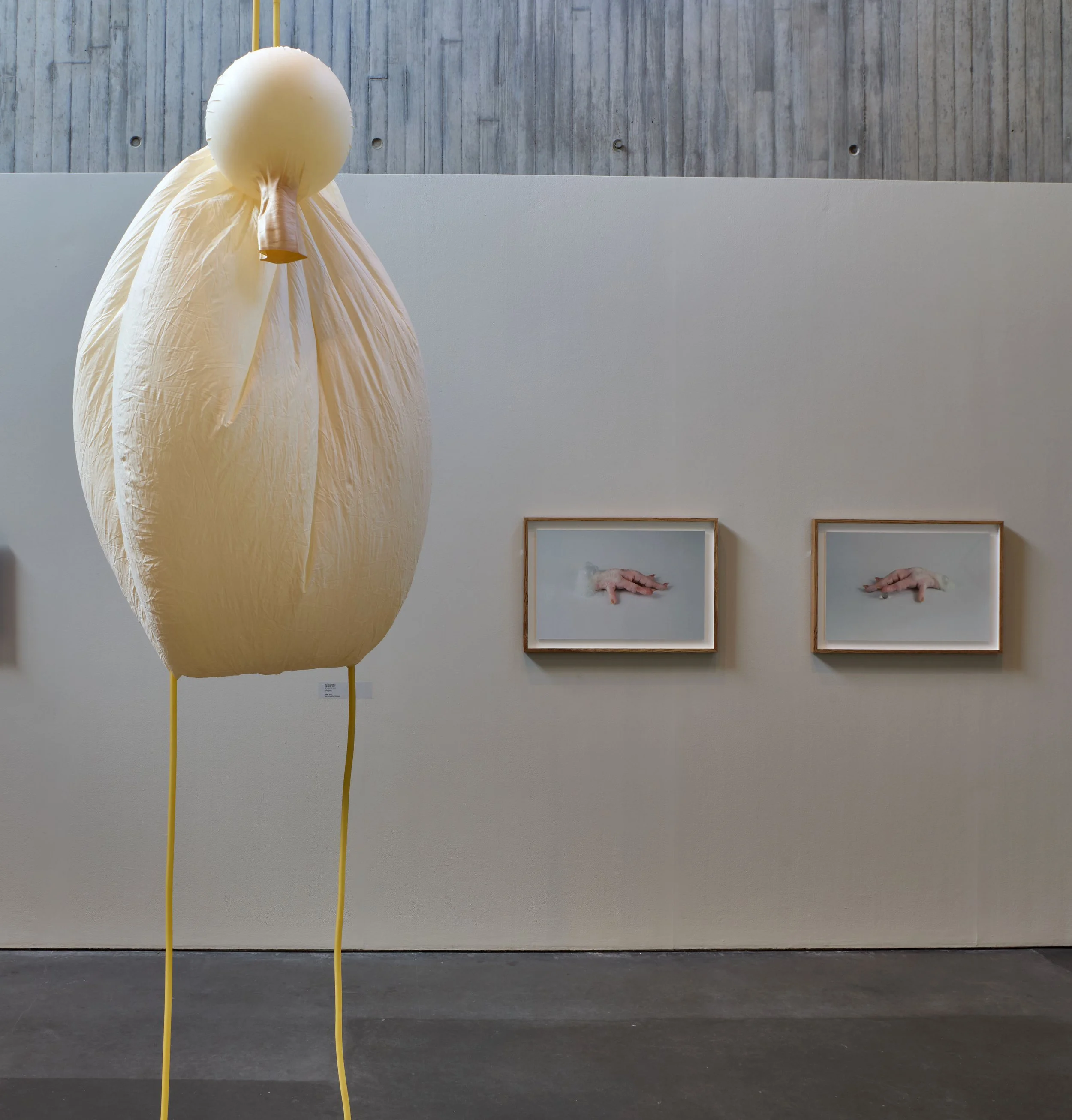 Brink 2025,
New Art Gallery, Walsall 