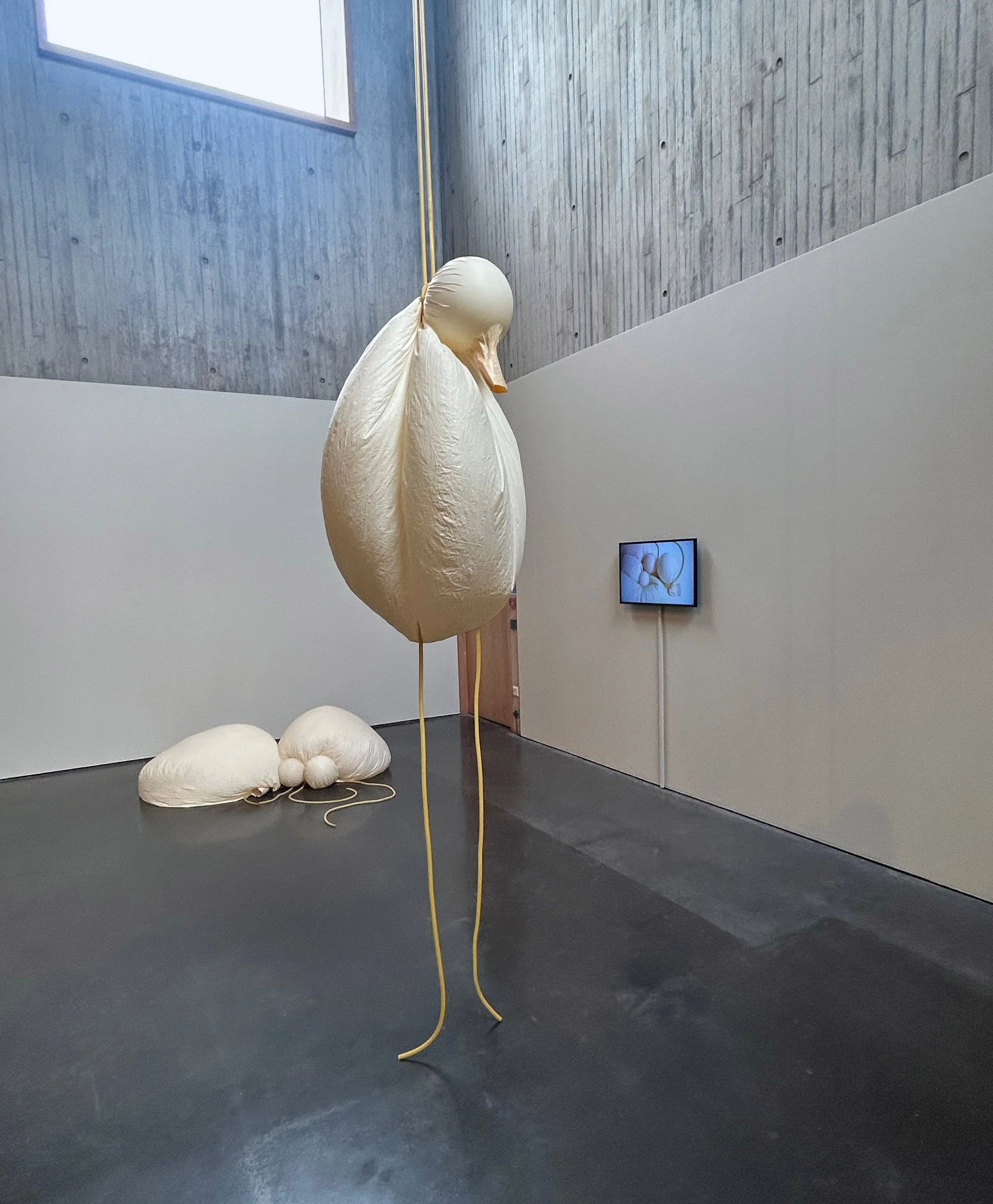 Brink 2025, 
New Art Gallery, Walsall 