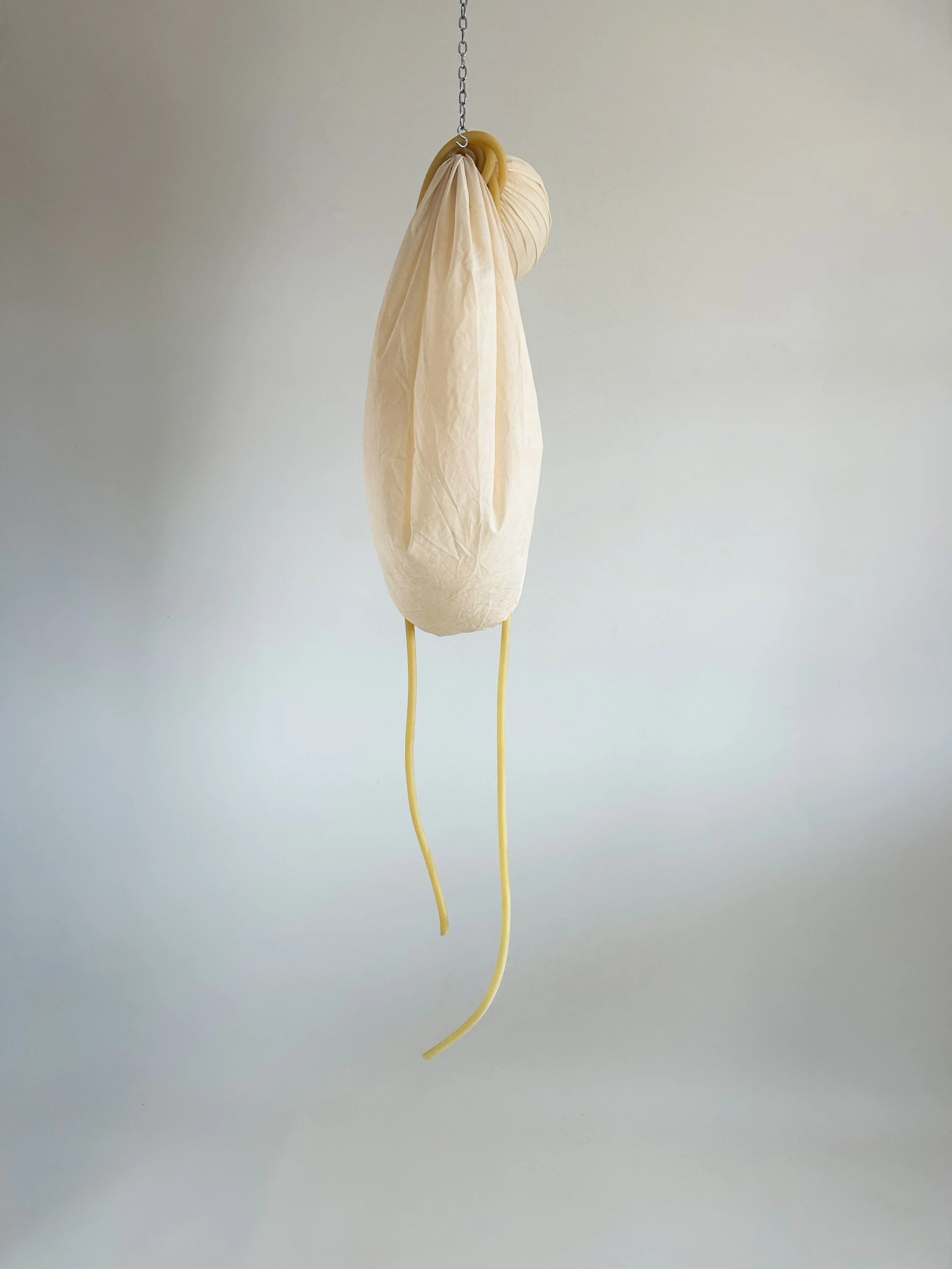 Brink 2025, weather balloon, surgical tubing