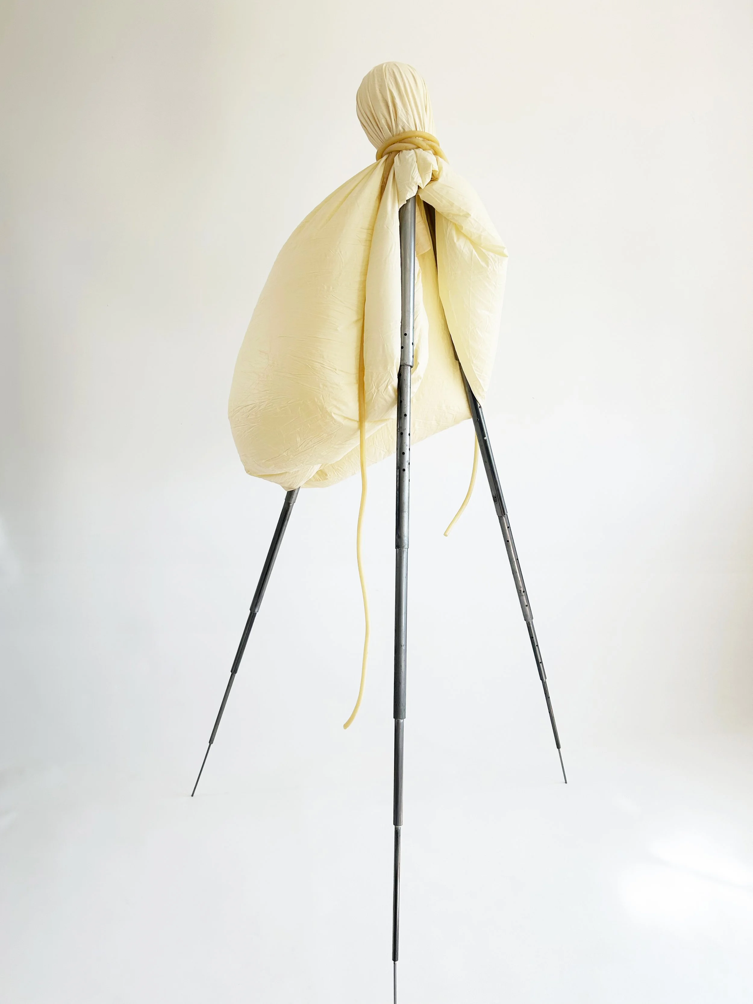 Figure 2025, Steel, latex, surgical tube