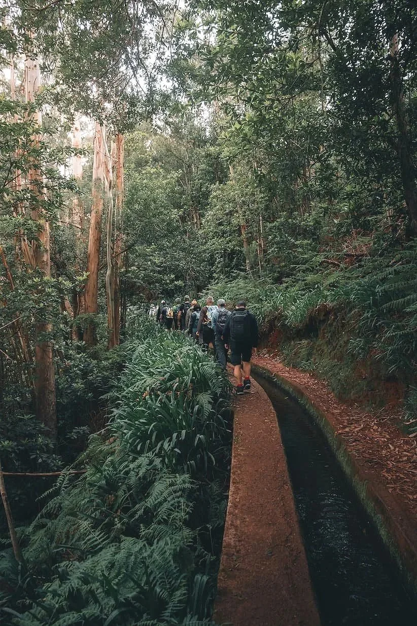 The Levada Walks are Madeira’s famous scenic hiking trails through forests, waterfalls, and mountain landscapes.