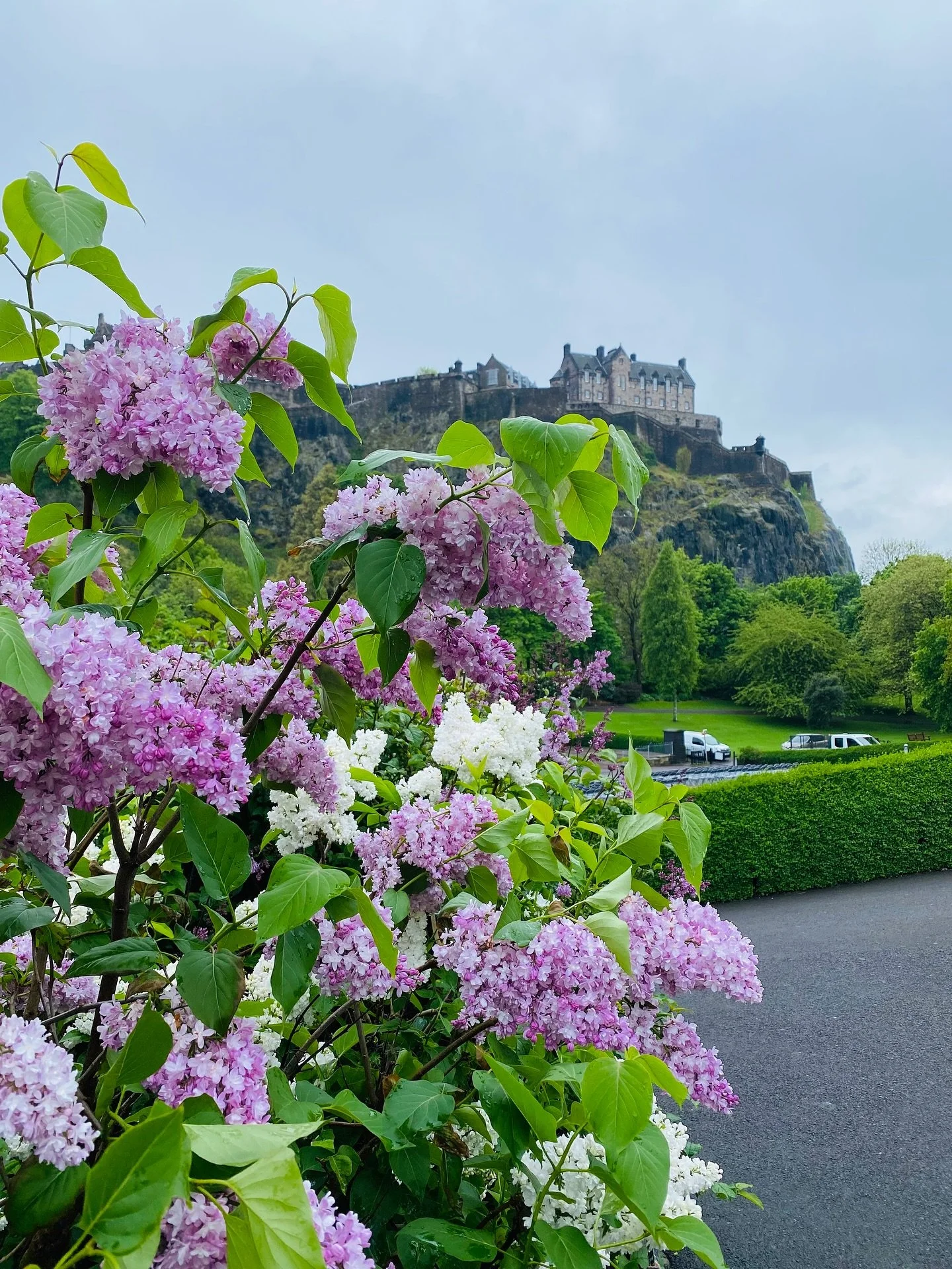 Last year, we wandered through Scotland&hellip; and it was pure magic. 🏰✨

Laughter echoing through castles, friendships that bloomed as beautifully as the wildflowers, and moments that reminded us why we travel.

Next May, we&rsquo;re doing it agai