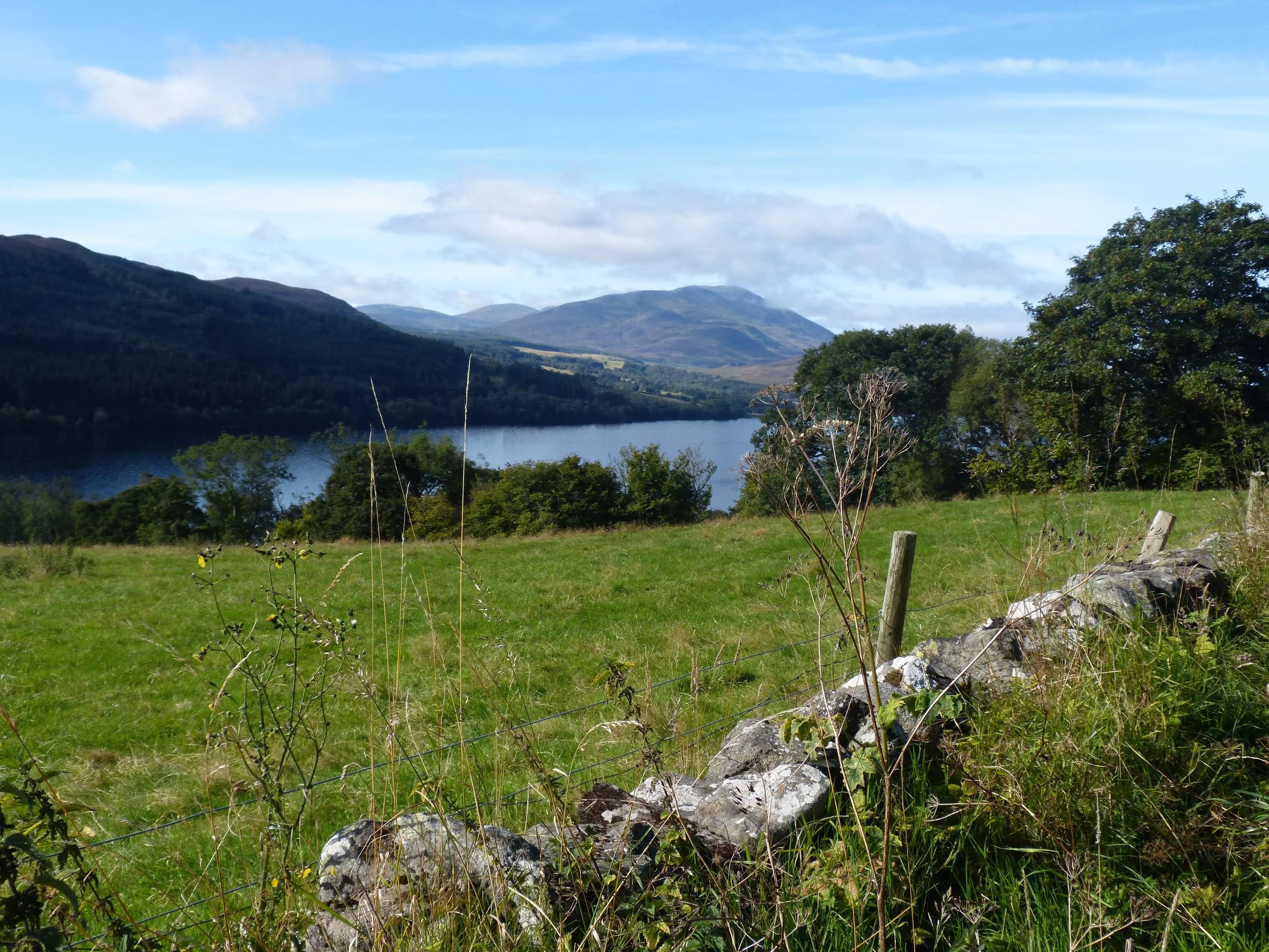 WhatsApp Image 2026-03-10 at 02.44.00 (1).jpeg