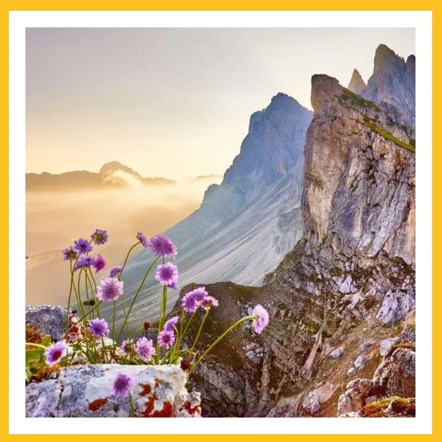 Luxury travel in the Dolomites: discover Trentino and South Tyrol