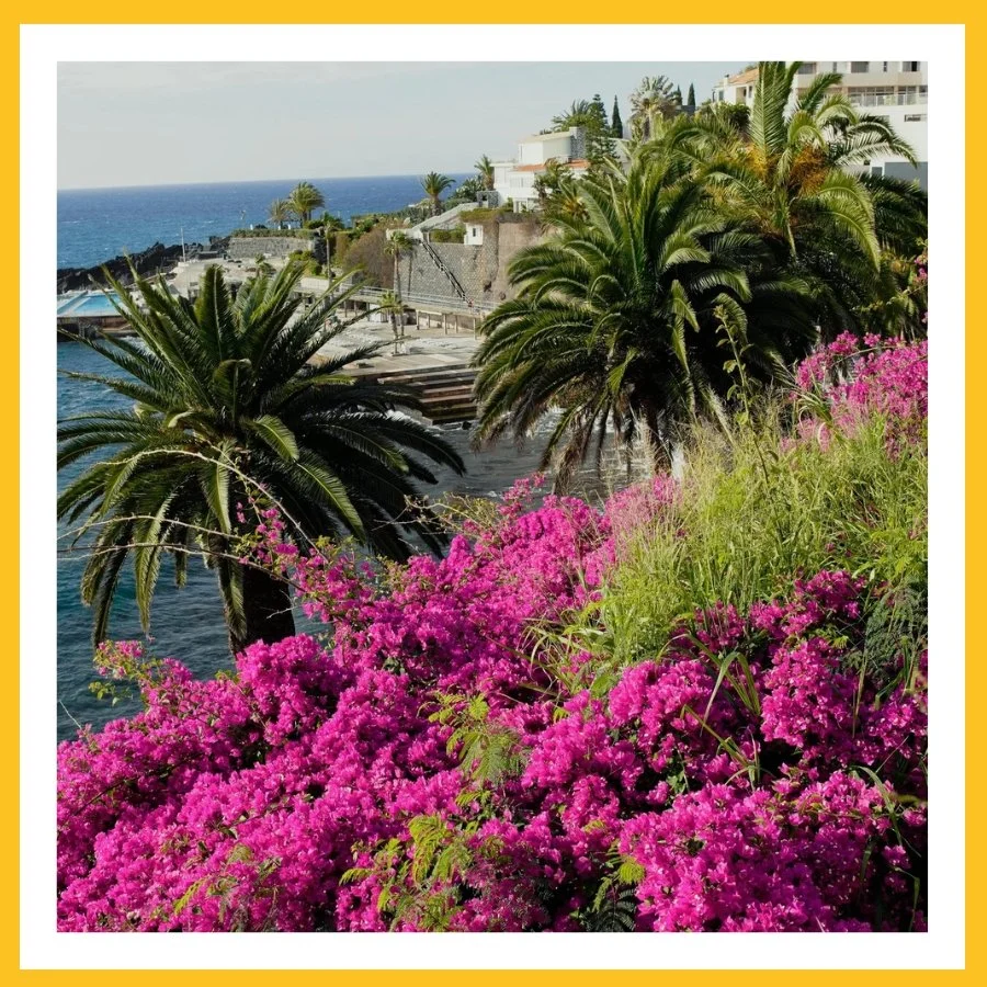 Madeira, Portugal: the luxury travel guide to Europe’s most underrated island