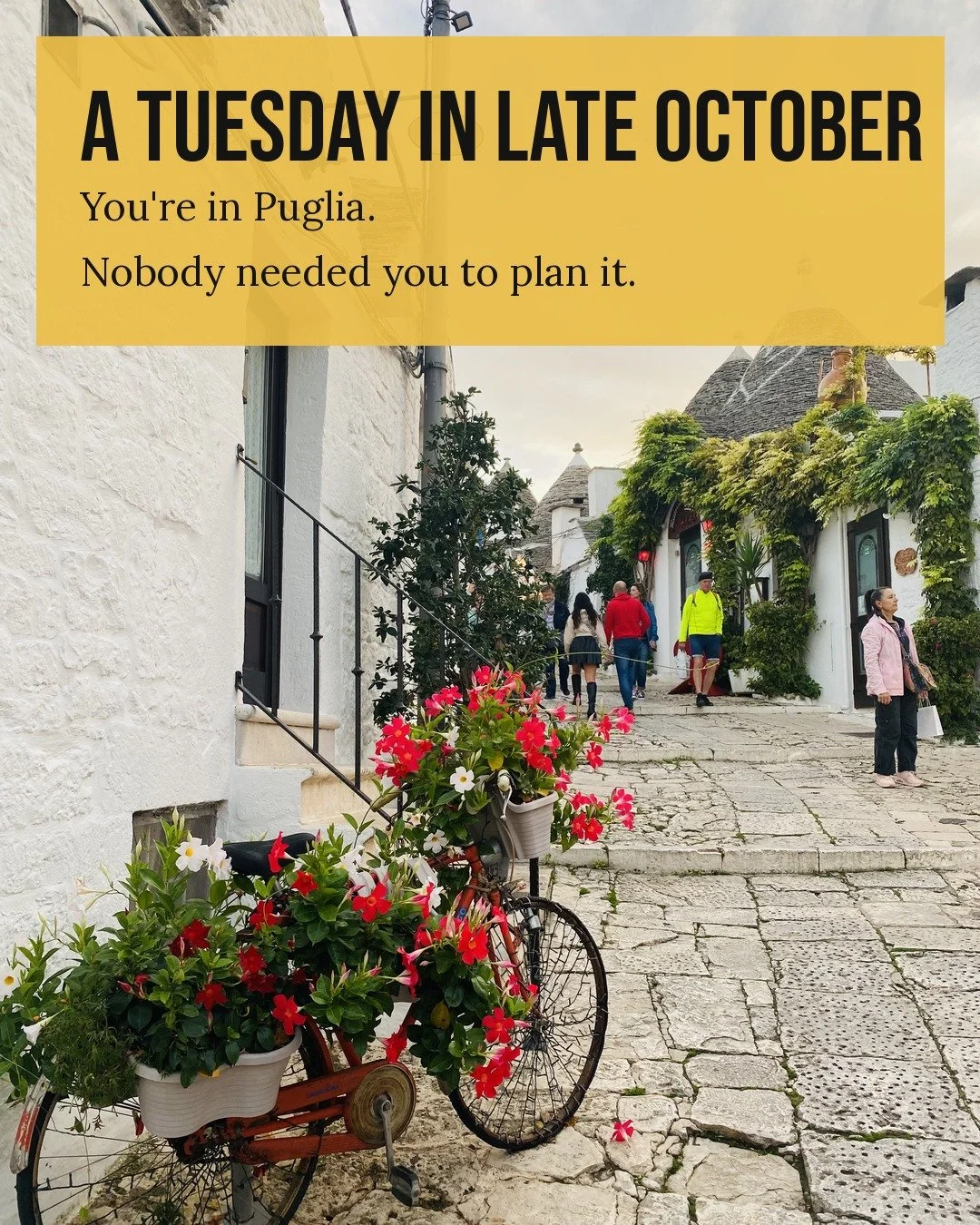 Puglia, October 25 to November 1. Three spots left, and I'm closing registration on September 9 so our team in Italy can lock in the kitchens, the cellar, and the guide.

This isn't a someday trip. Someday is not on the calendar. October 25 is.

If y