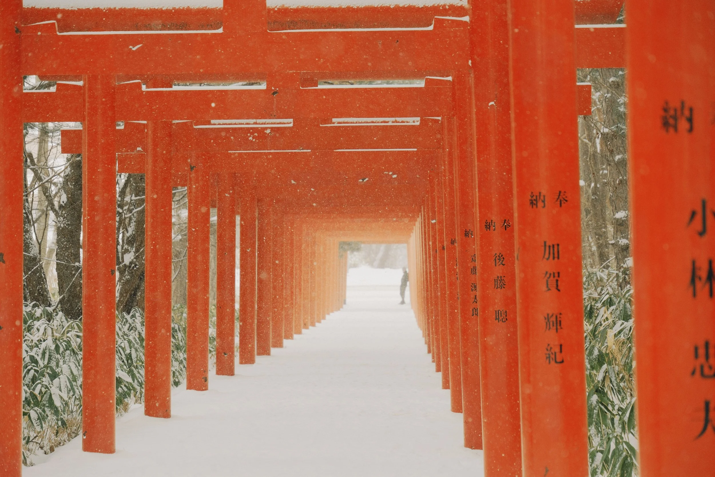 Luxury Japan Ski Trip: Powder in Hokkaido vs. Culture in Nagano