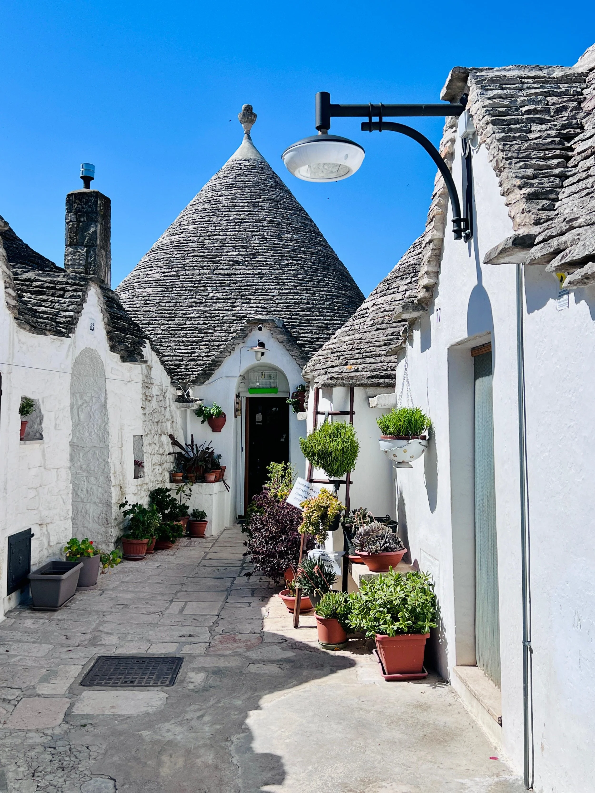 A narrow stone alley in Alberobello, Puglia, lined with traditional whitewashed trulli and distinctive conical roofs.