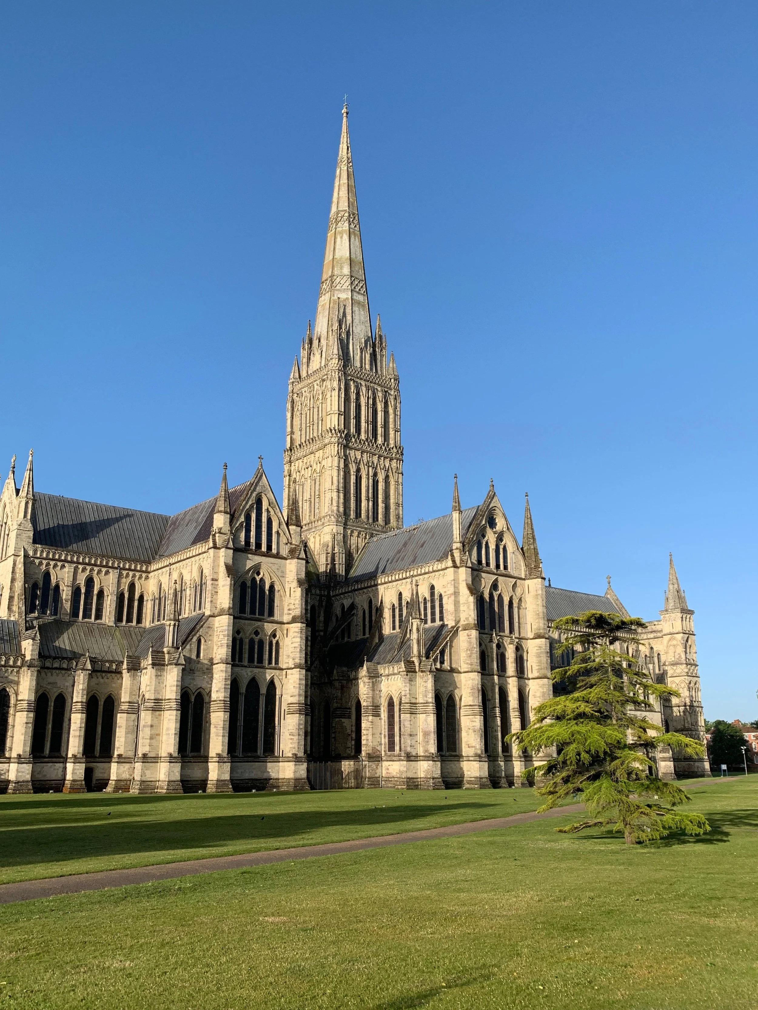 Salisbury Cathedral spire above the close on a clear afternoon, Wiltshire, England
