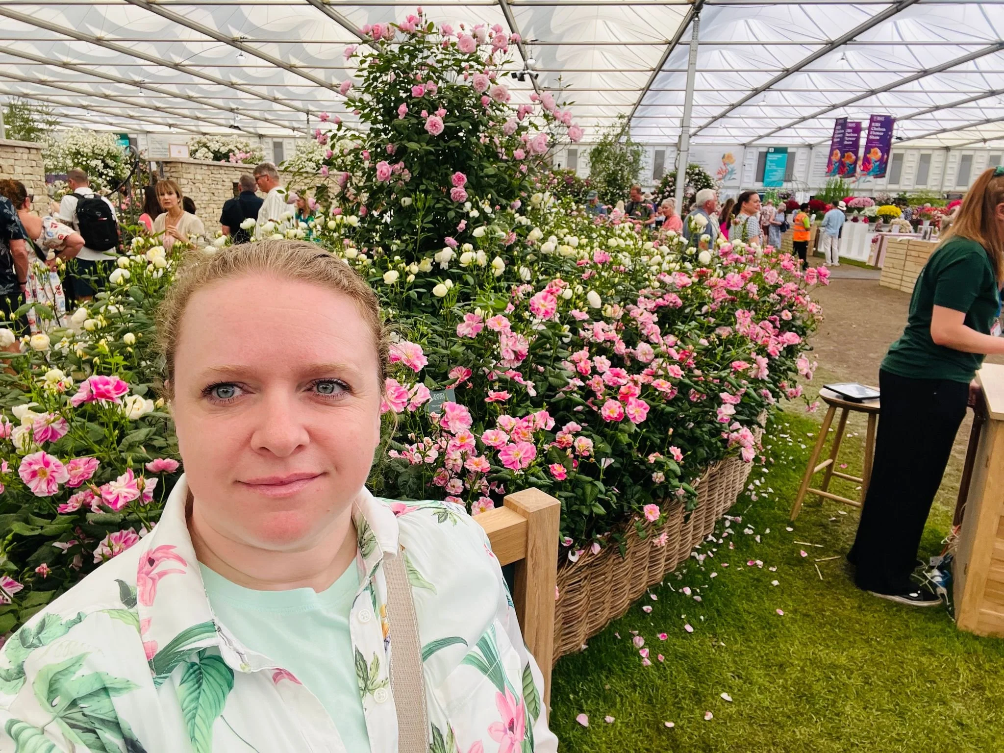 Great Pavilion at the RHS Chelsea Flower Show, featuring spectacular floral displays in London, England.