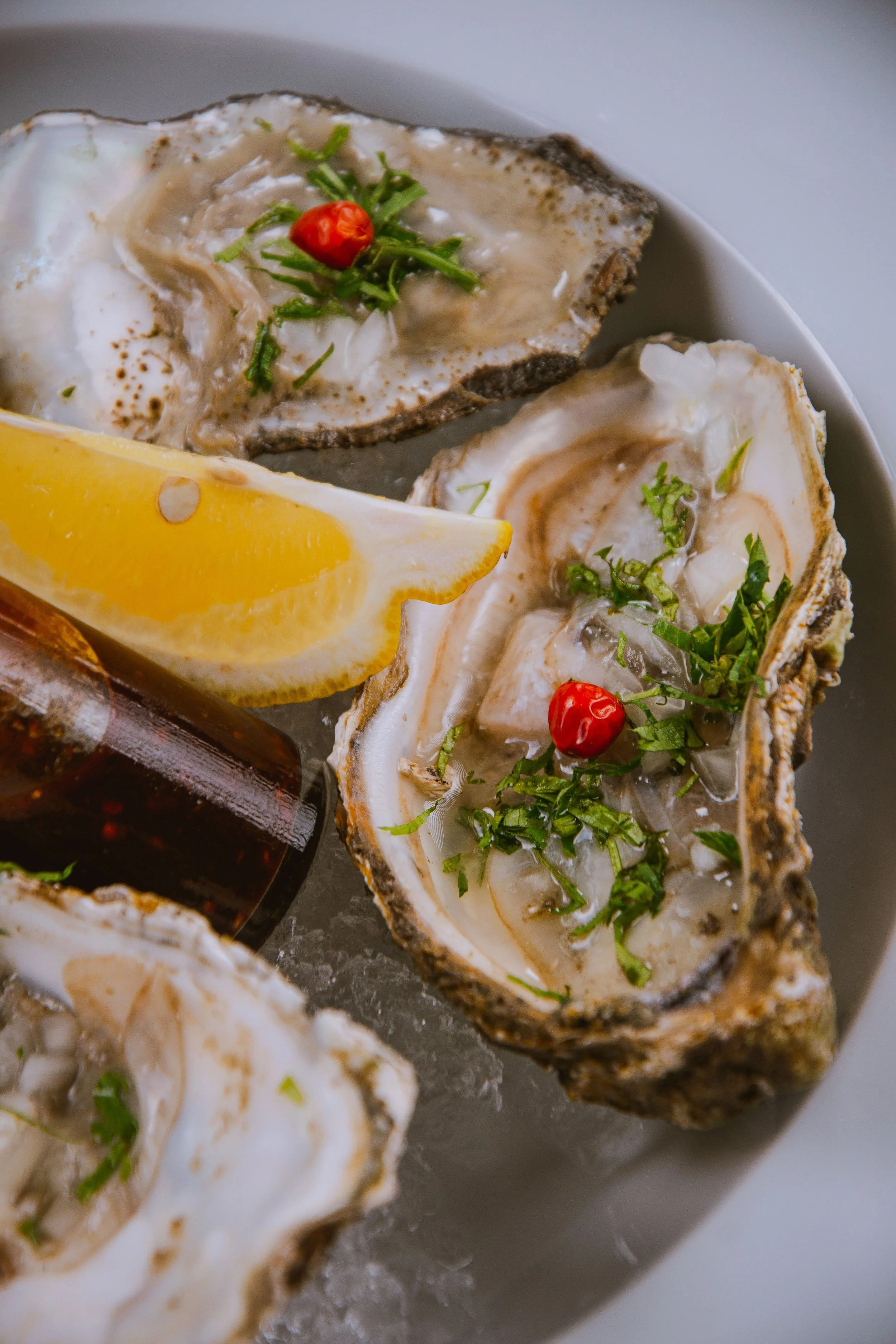 Mali Ston oysters, or Malostonske kamenice, cultivated in the protected waters of Mali Ston Bay, Croatia, and prized for their distinctive flavor.