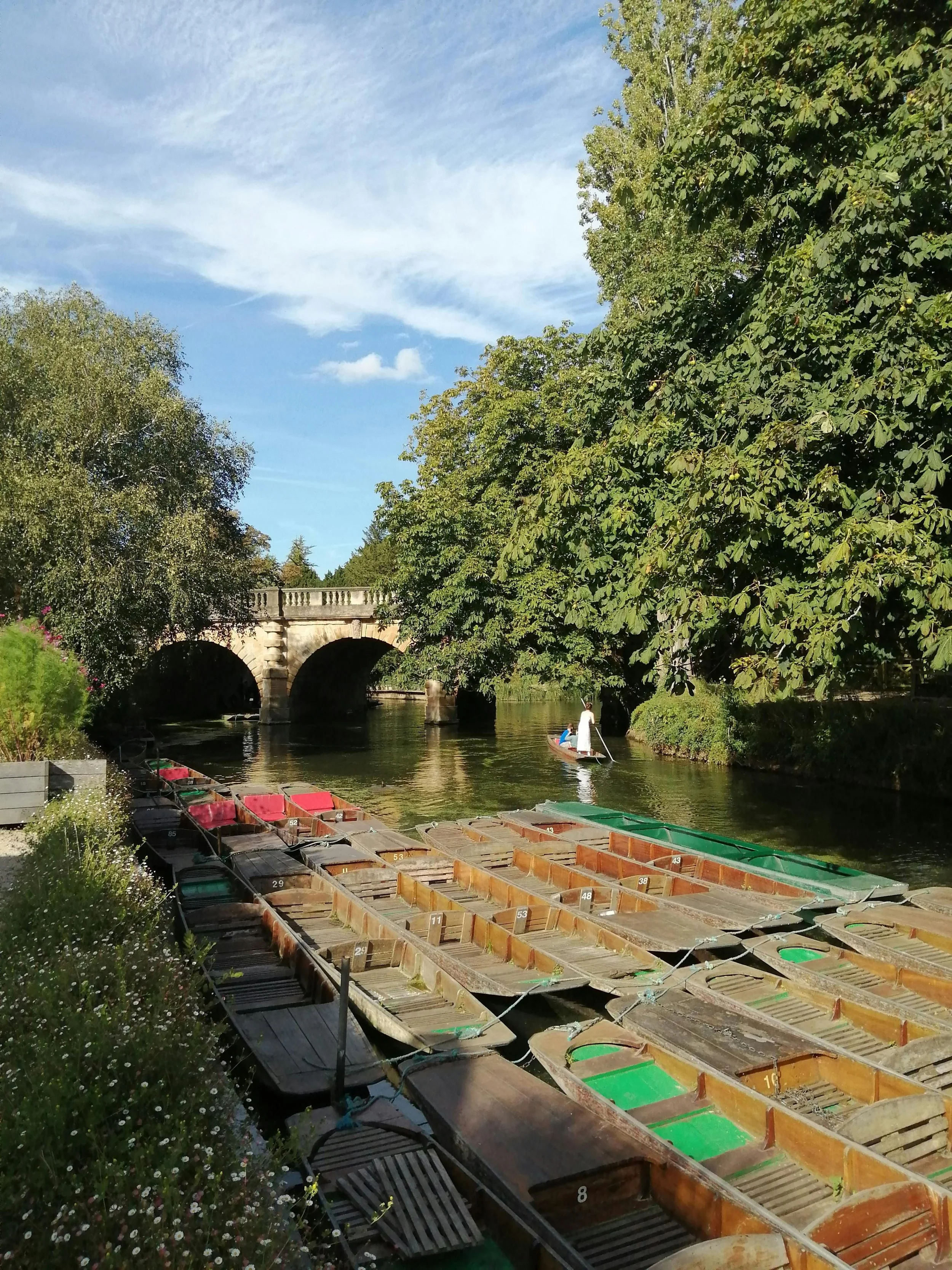 Punts on the River Cherwell beside Magdalen Bridge, Oxford, England