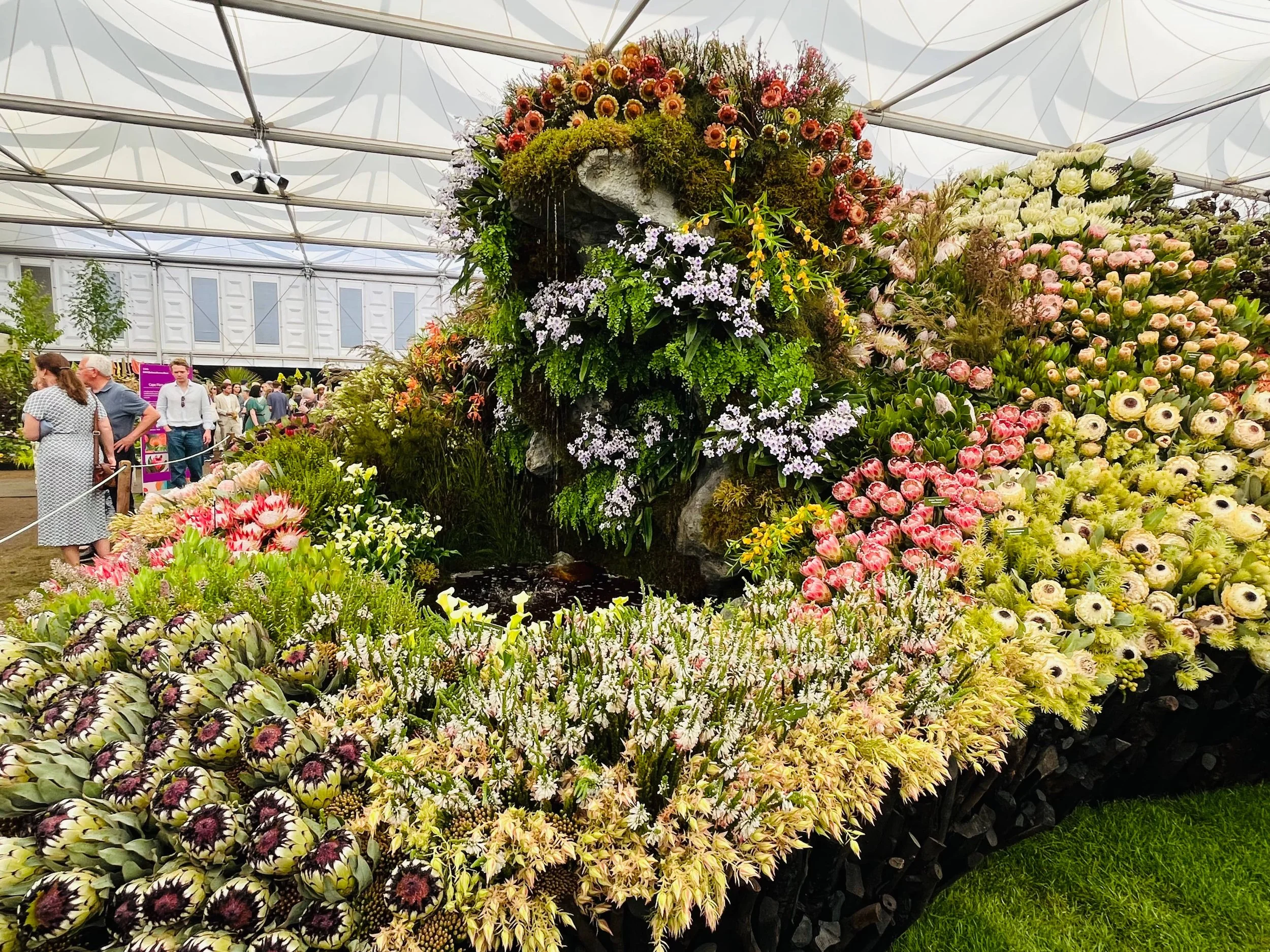 A show garden in full bloom at the RHS Chelsea Flower Show with crowds and floral installations, London, England