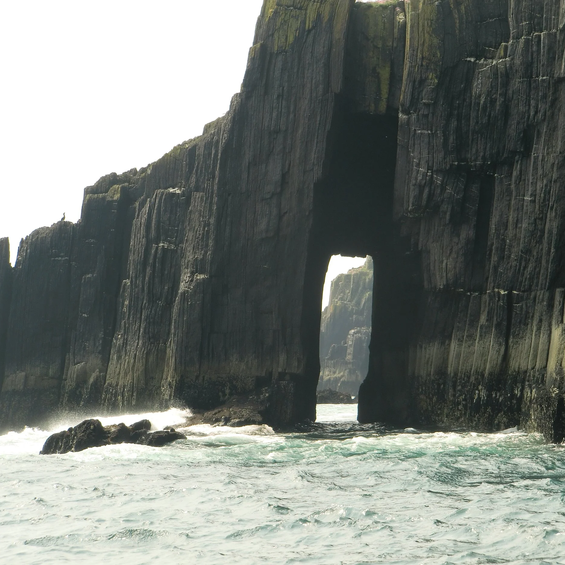 Cathedral Rocks near Inisnabro off the Dingle Peninsula in County Kerry, Ireland, dramatic sea cliffs rising from the Atlantic Ocean.