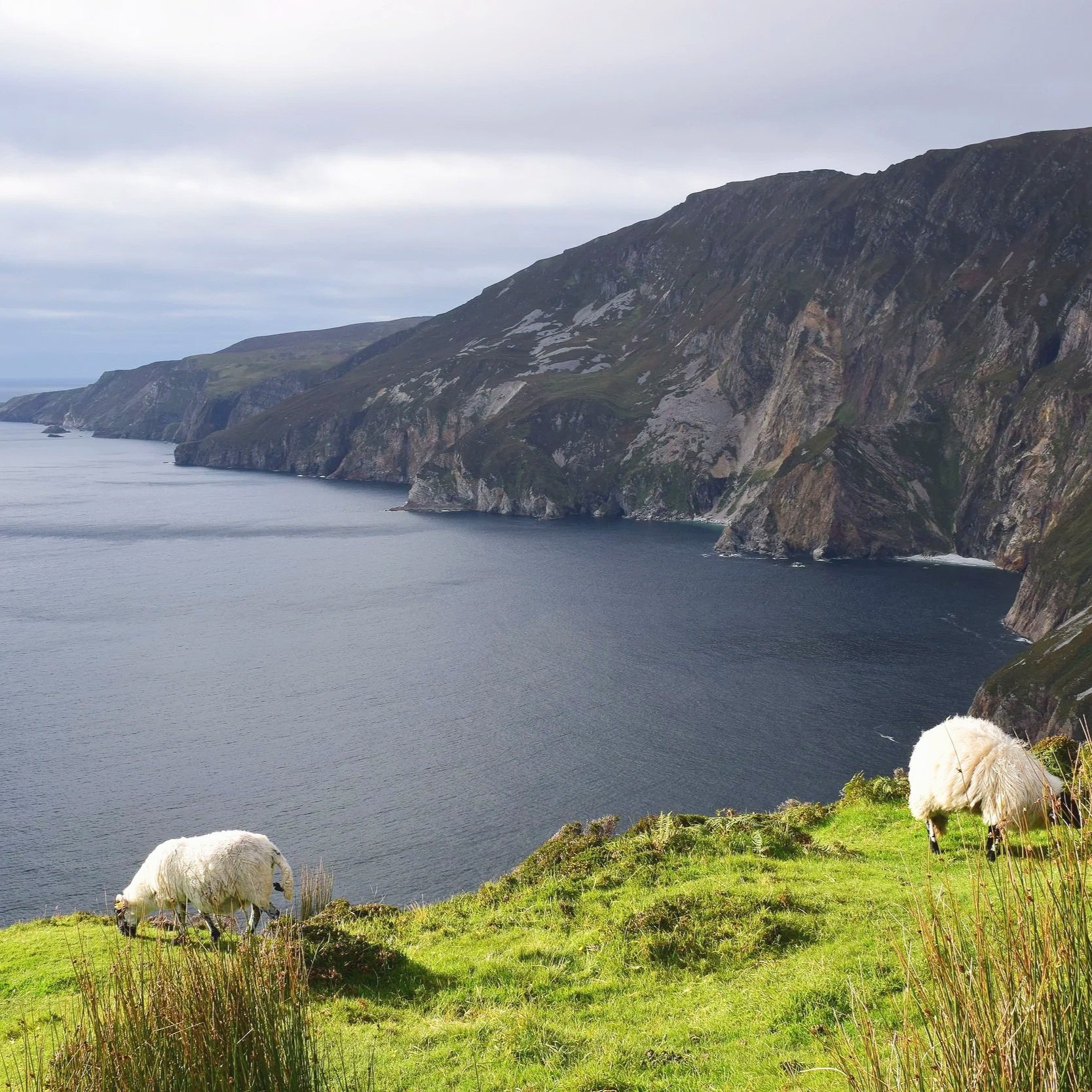 Slieve League Cliffs in County Donegal, Ireland, dramatic sea cliffs rising high above the Atlantic Ocean, surrounded by lush green landscapes.