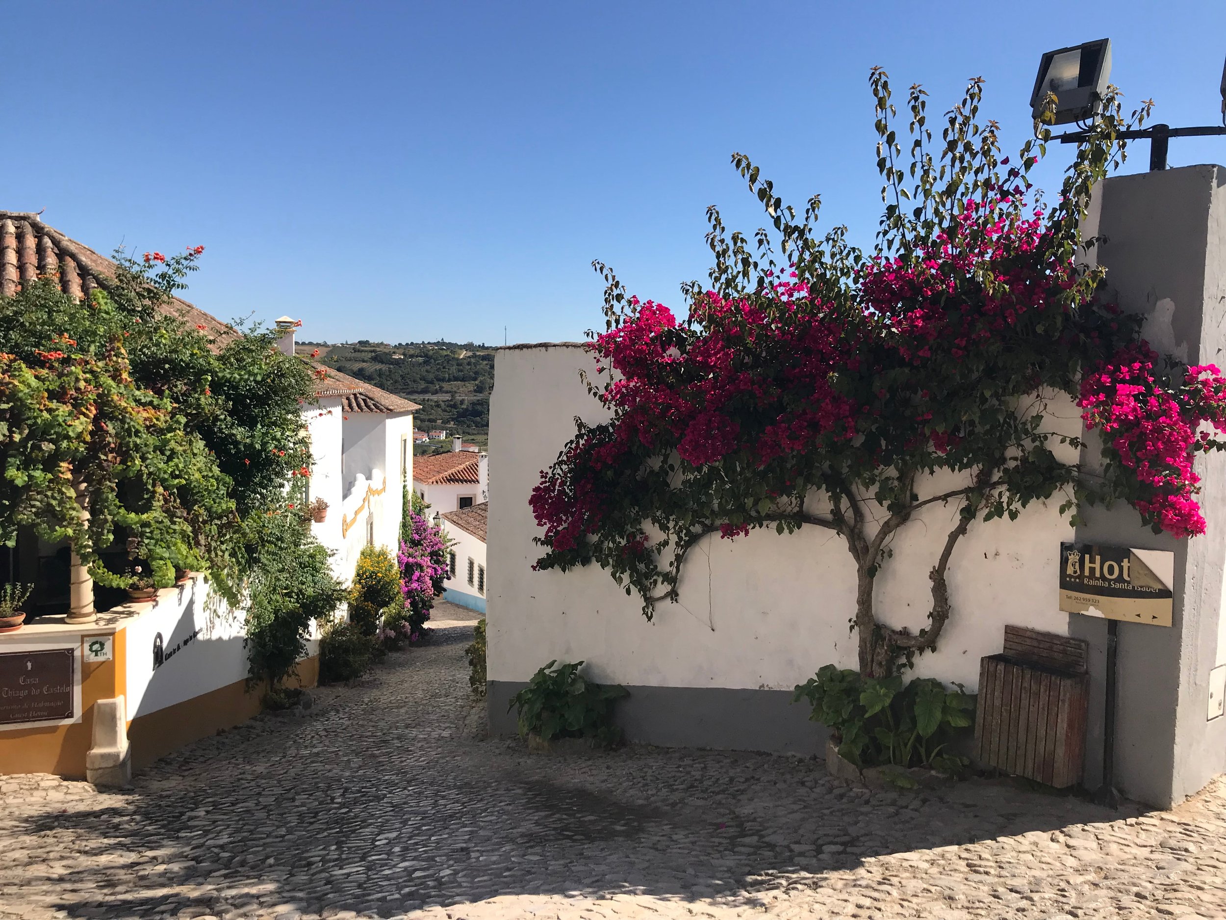 Narrow cobblestone alley in Óbidos, Portugal, lined with whitewashed buildings and vibrant bougainvillea.