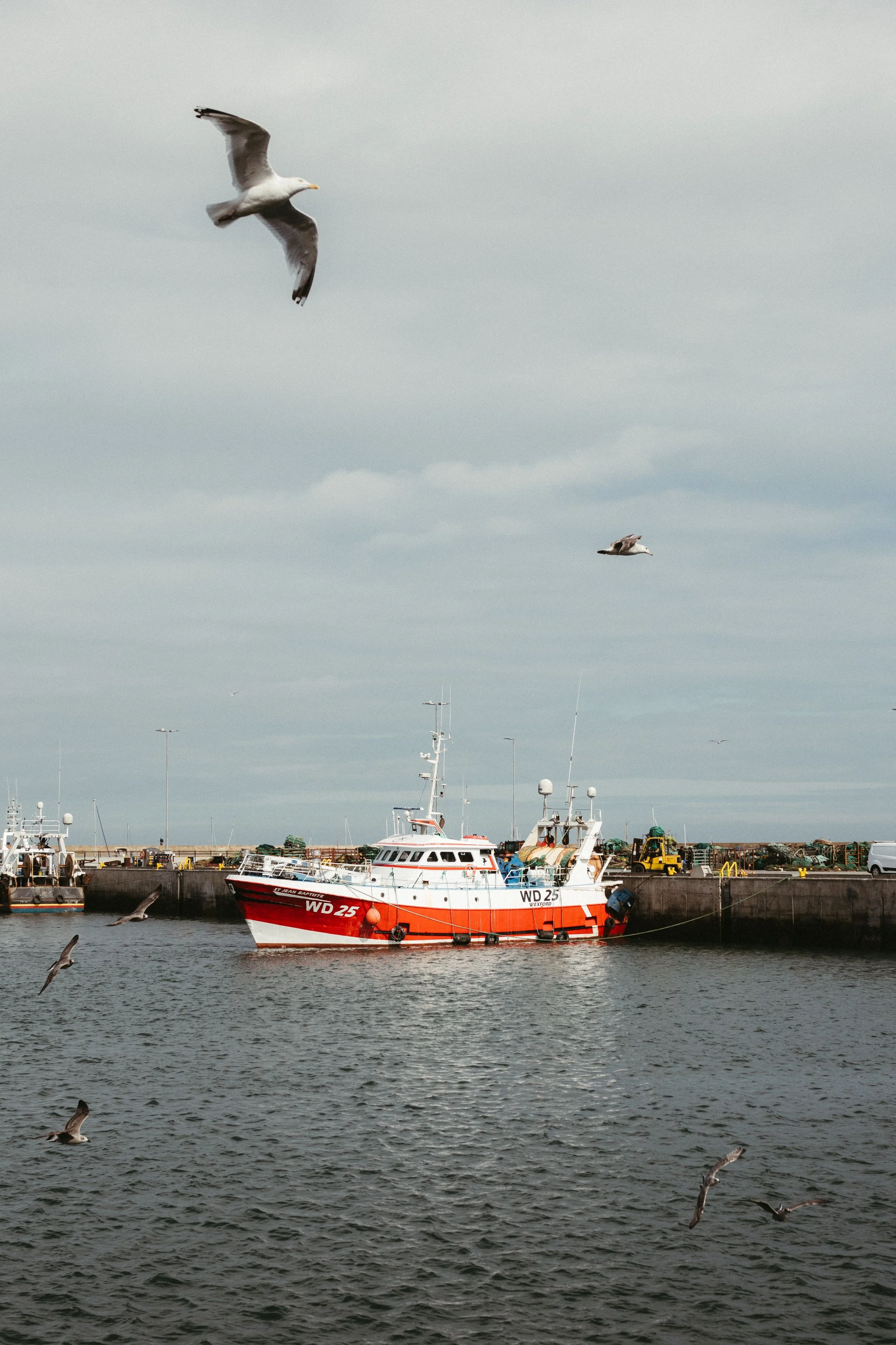 Howth Harbour, Dublin, Ireland, with a colorful fishing boat docked against the scenic coastal setting.