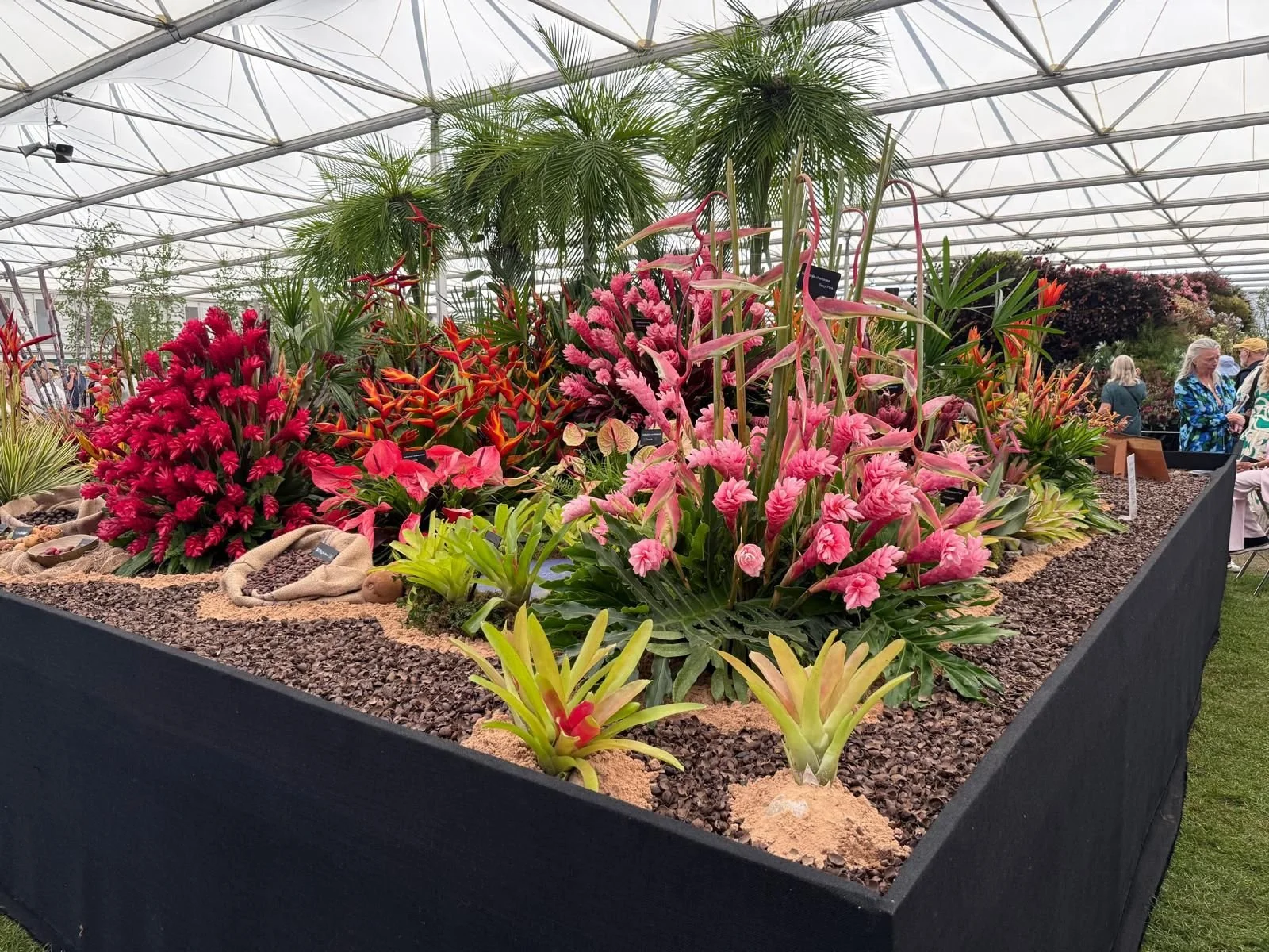 Grenada exhibit at the 2026 RHS Chelsea Flower Show, showcasing tropical flowers, lush foliage, cocoa, and spices in London, England.