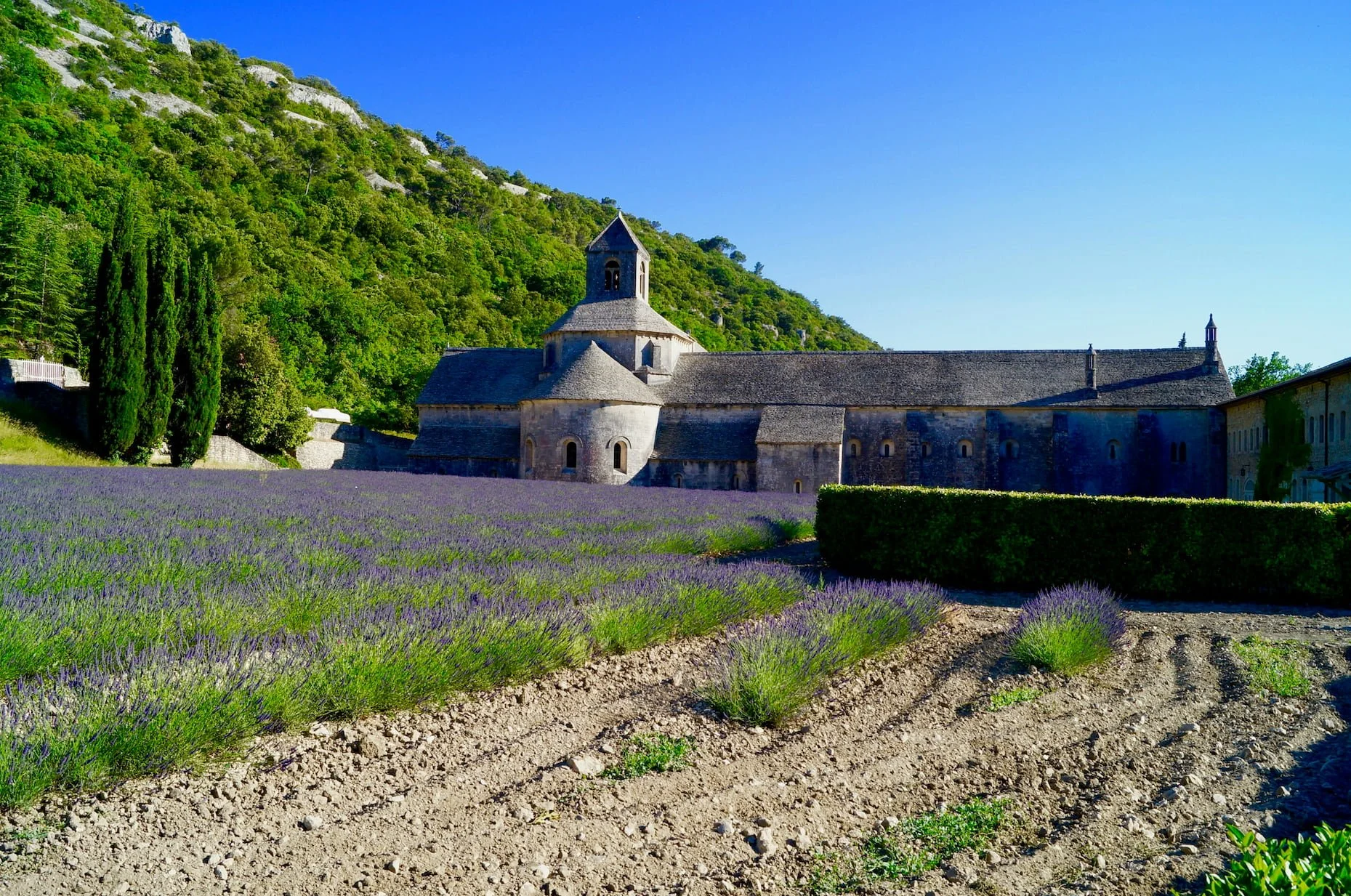 French château surrounded by blooming lavender fields in Provence, France.