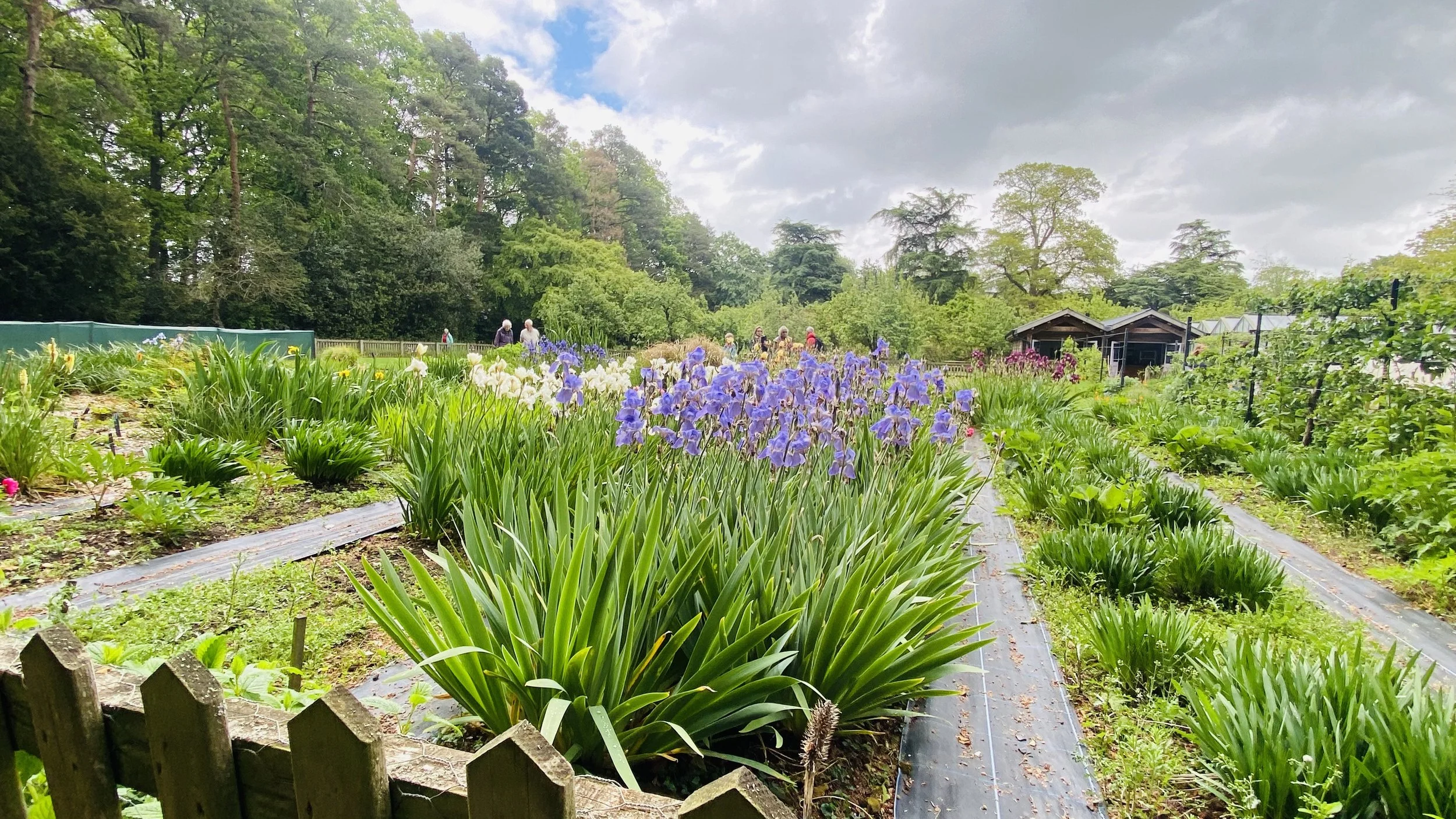 Olegana Castles and Gardens UK