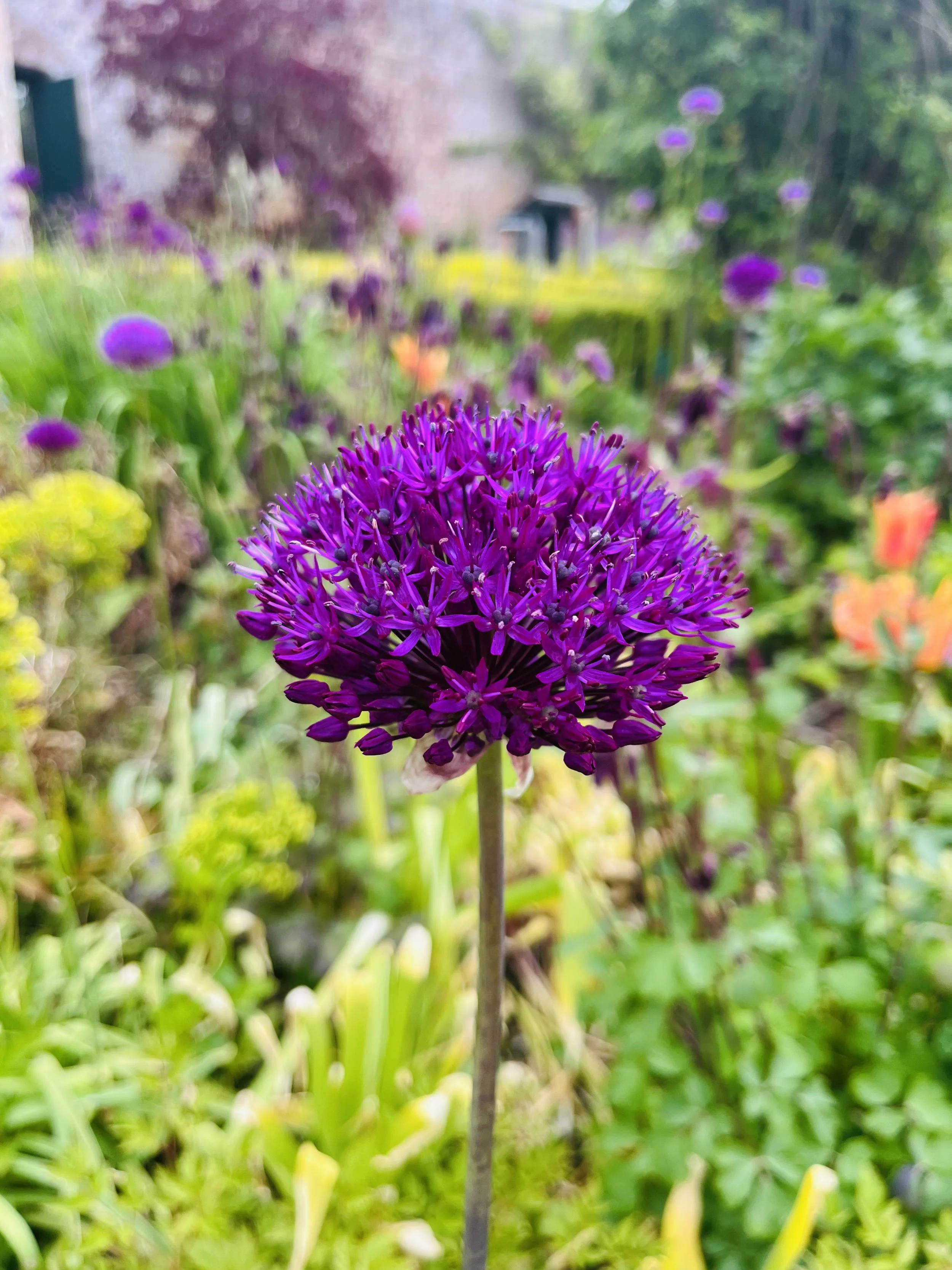 Olegana Castles and Gardens UK