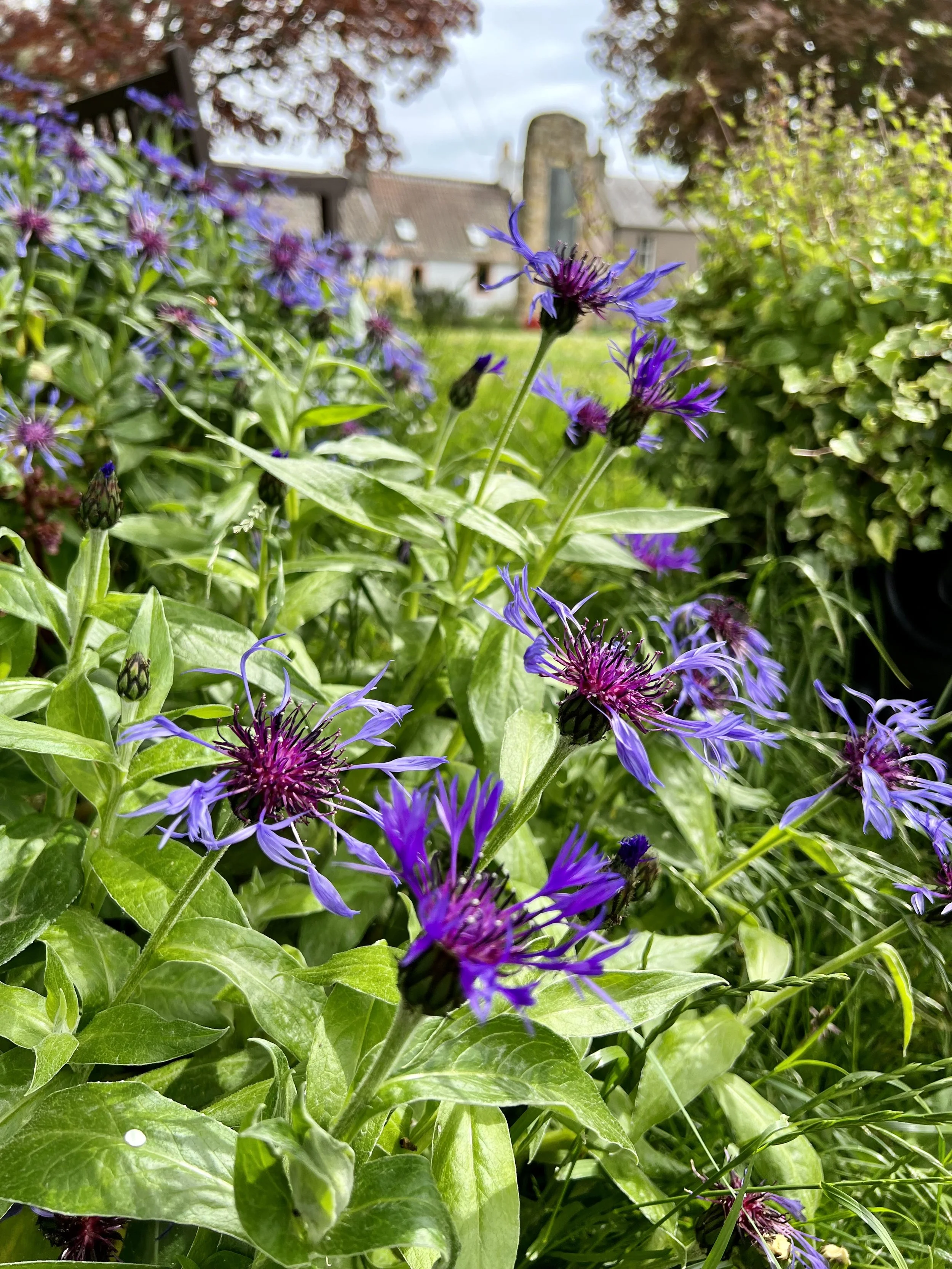 What-it-is-like-to-travel-with-us-uk (11).jpg