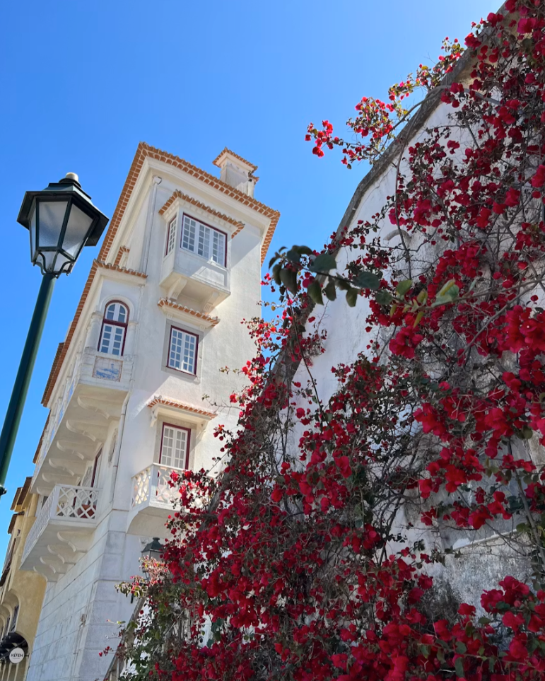 Whitewashed building with vibrant red bougainvillea in Cascais, Portugal.